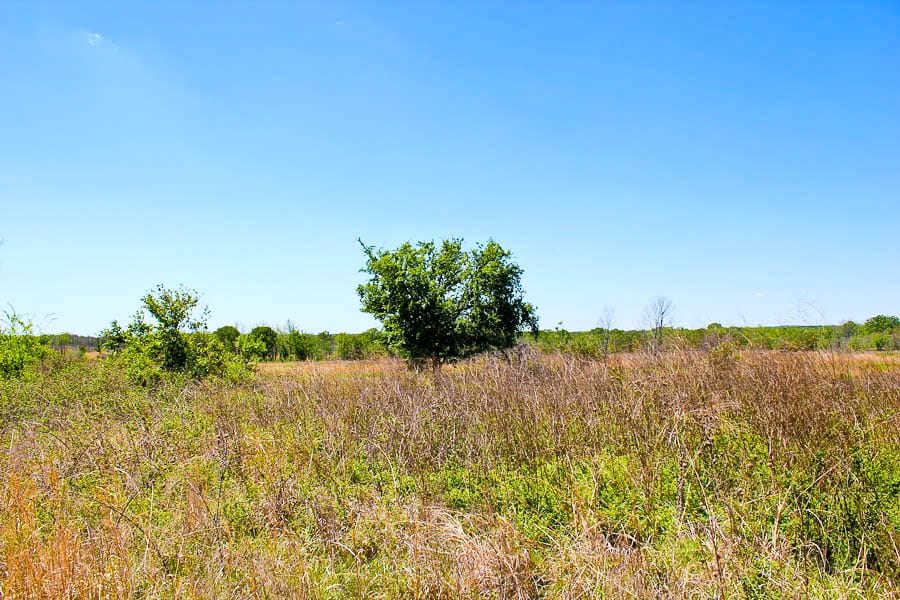 Saddlebrook Ranch Tract 7 photo 1