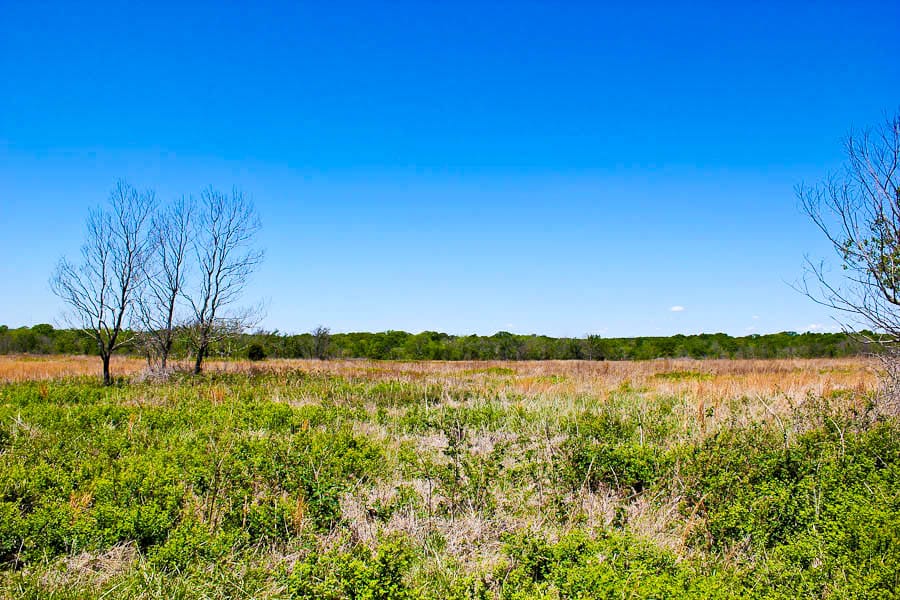 Saddlebrook Ranch Tract 7 photo 3