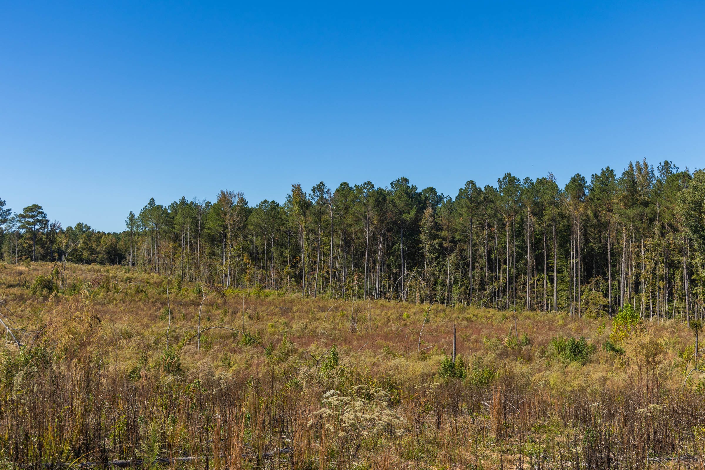 Meyer’s Ridge Tract 28 photo 13
