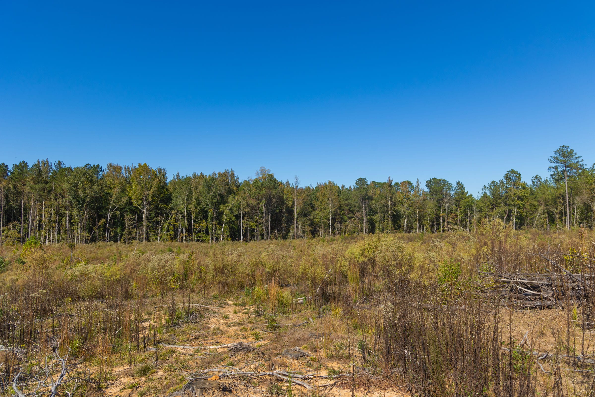 Meyer’s Ridge Tract 28 photo 12