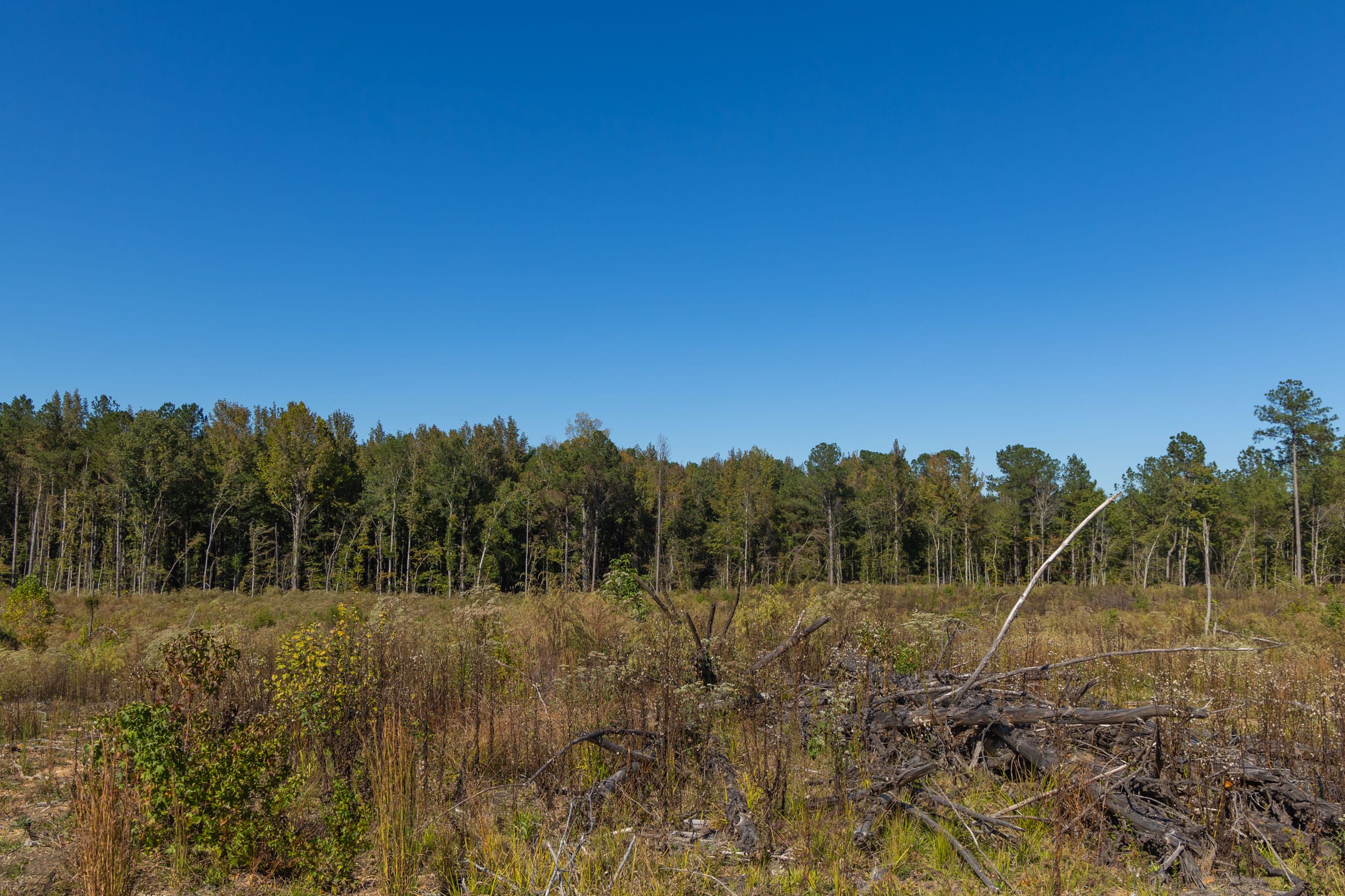 Meyer’s Ridge Tract 28 photo 5
