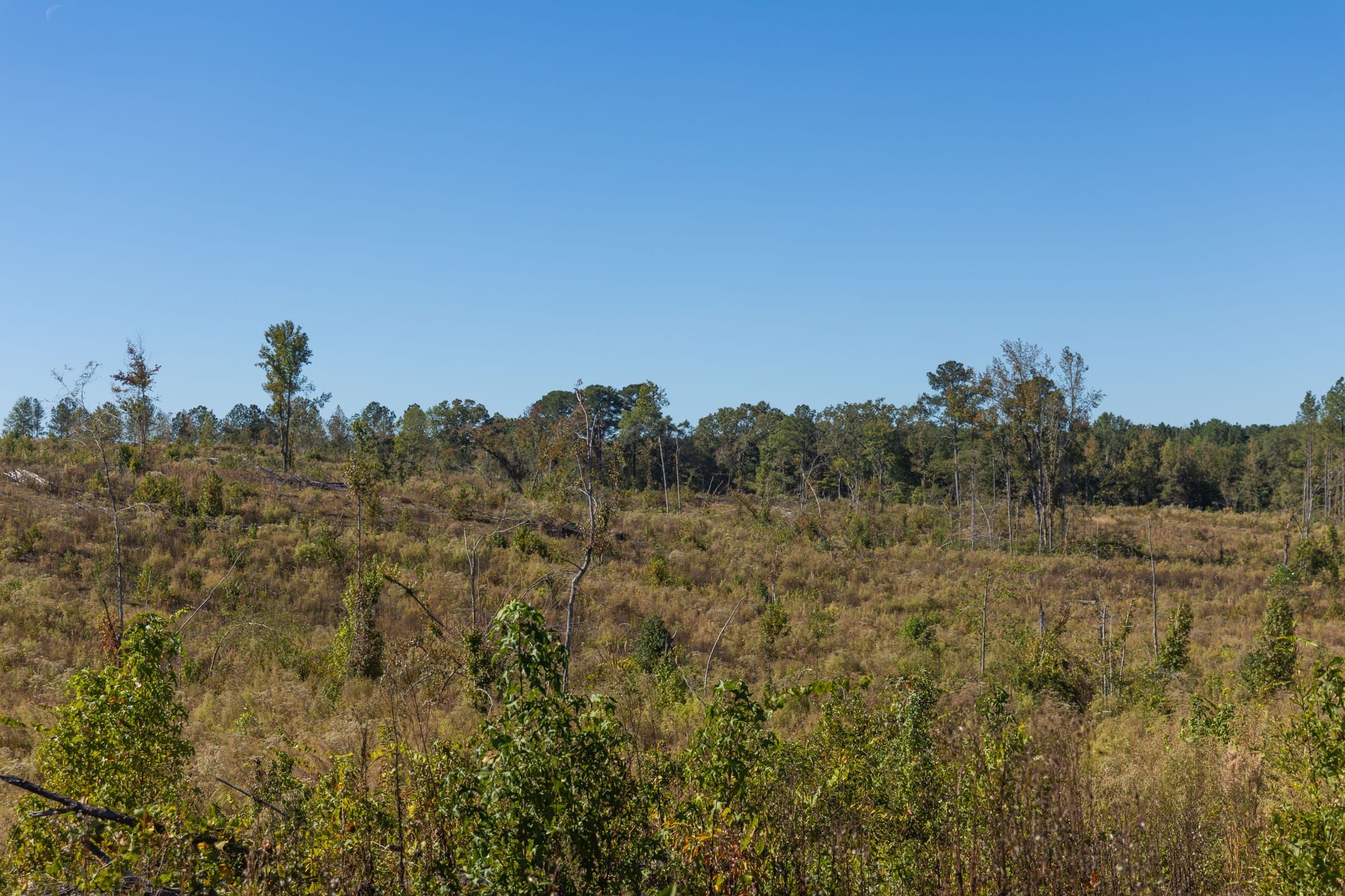Meyer’s Ridge Tract 28 photo 10