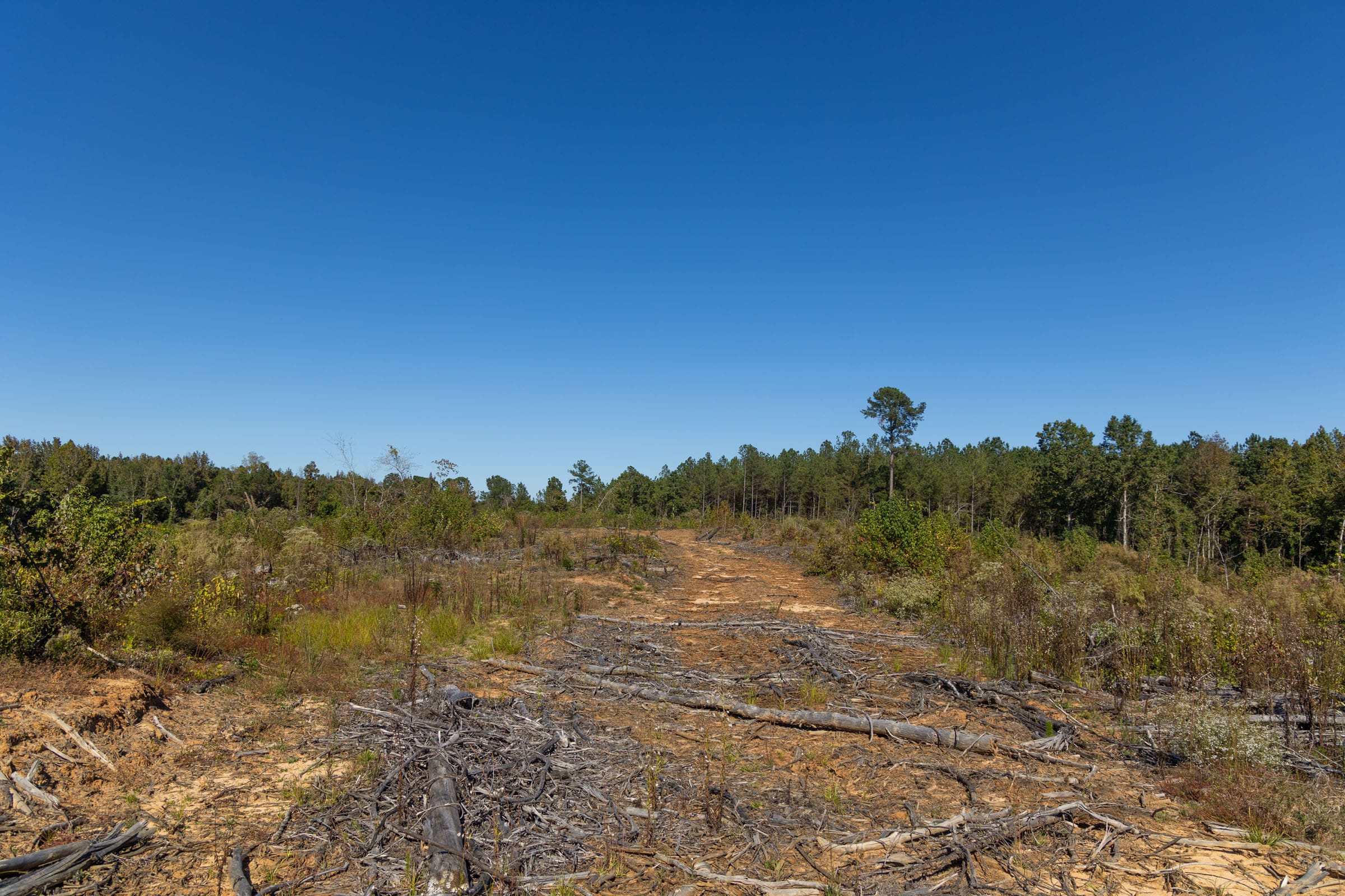 Meyer’s Ridge Tract 28 photo 9