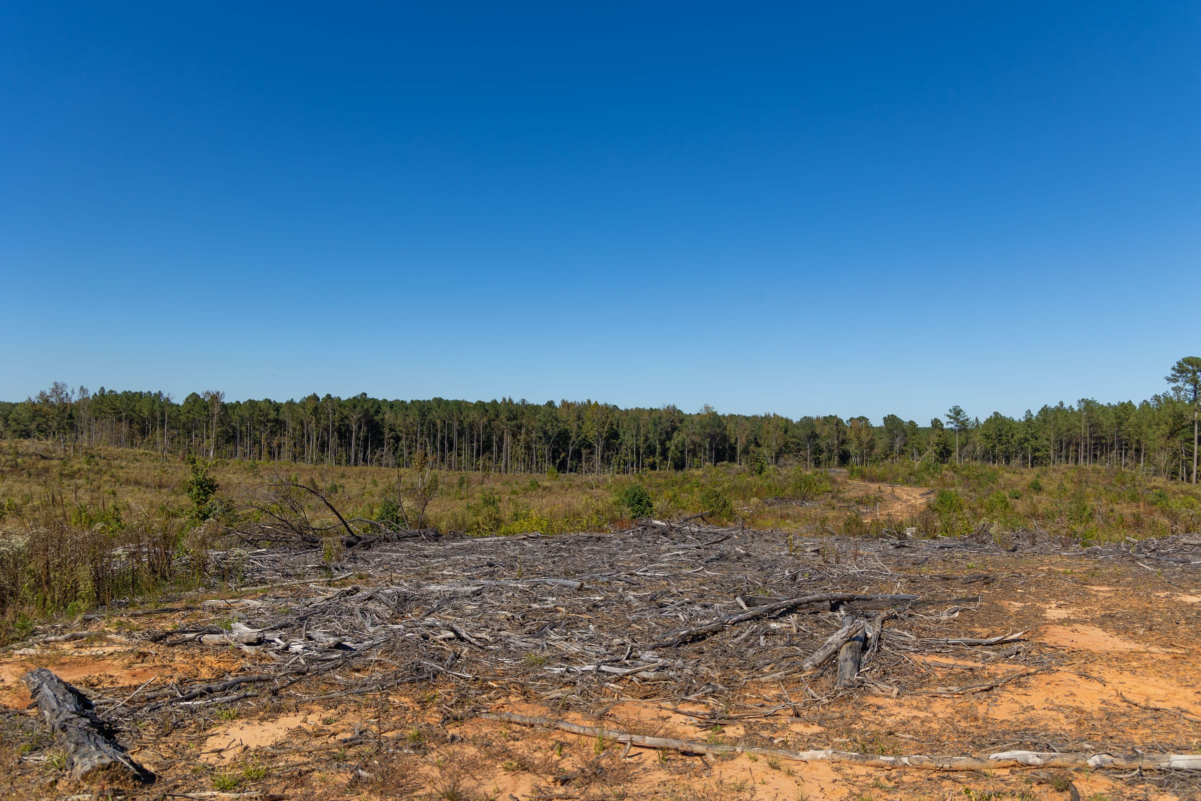 Meyer’s Ridge Tract 28 photo 3