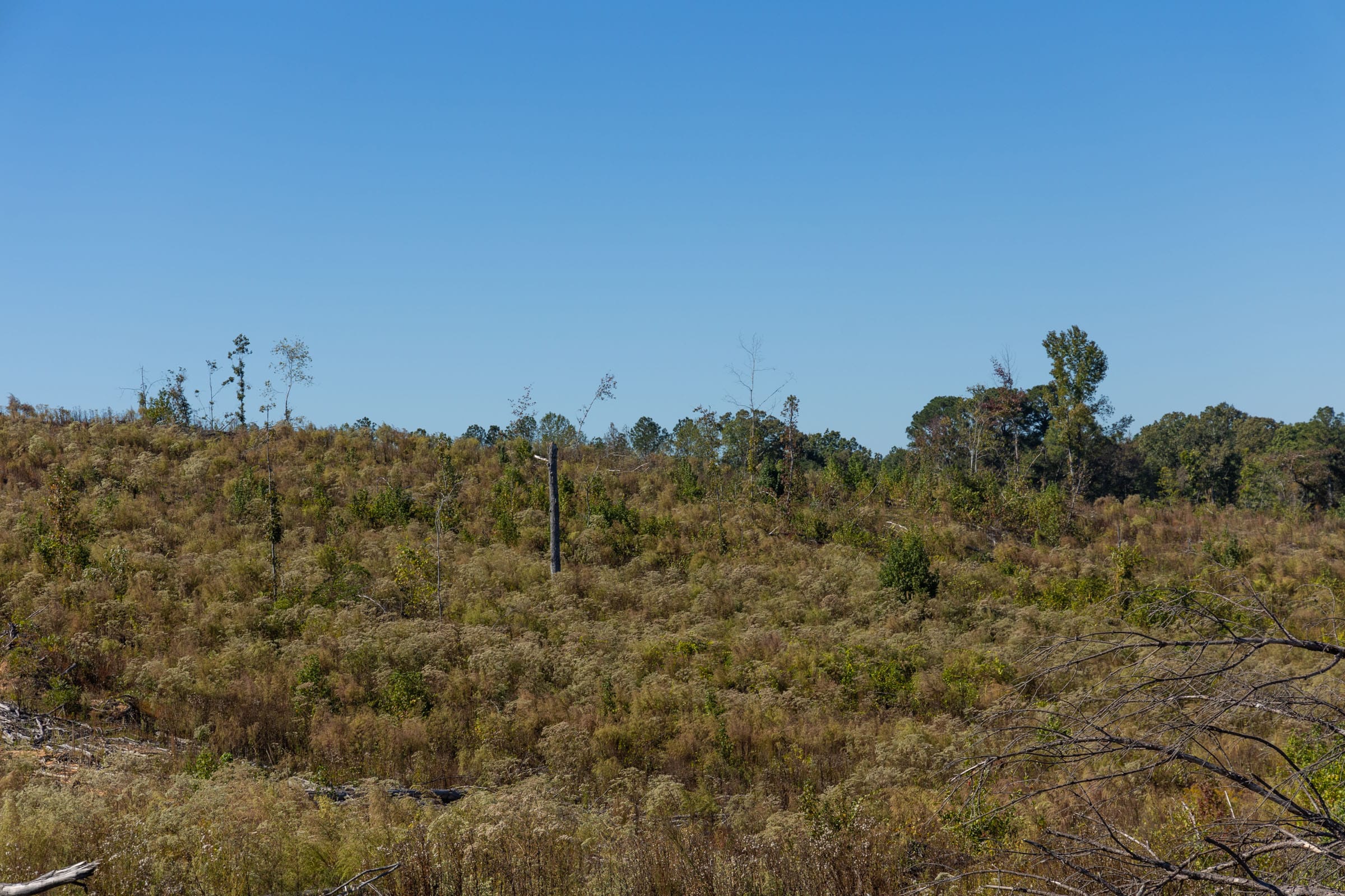 Meyer’s Ridge Tract 28 photo 8