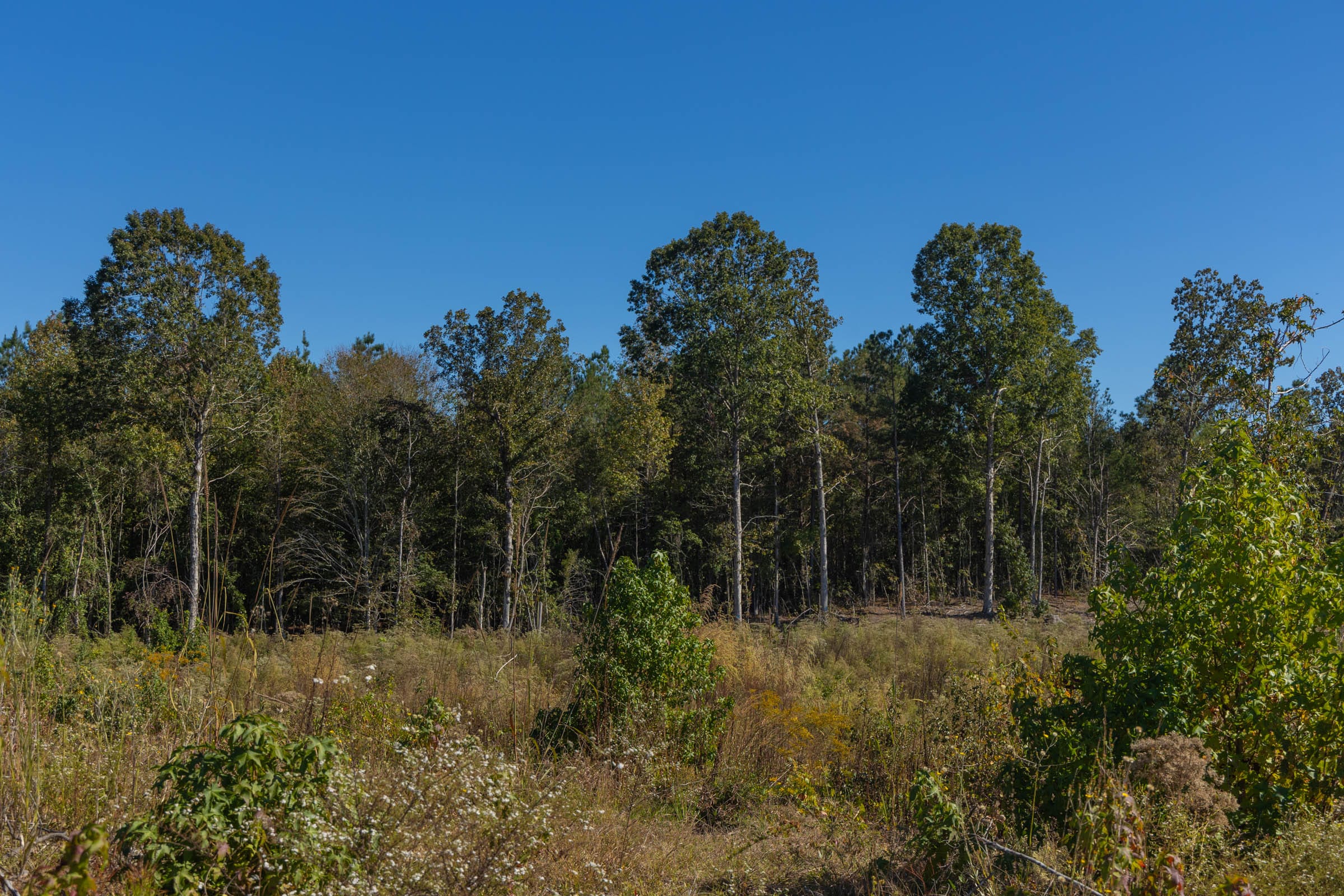 Meyer’s Ridge Tract 28 photo 7