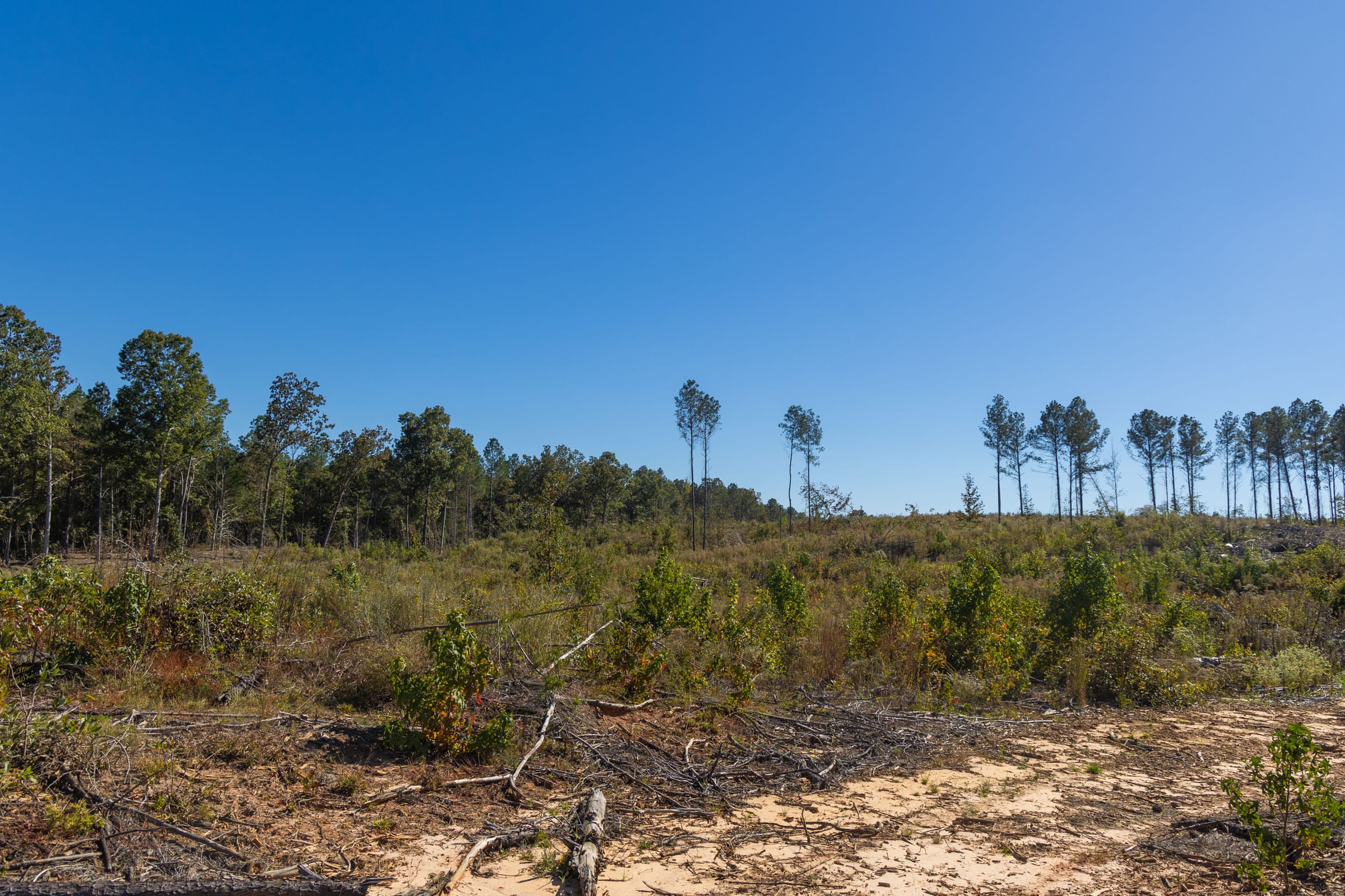 Meyer’s Ridge Tract 28 photo 6