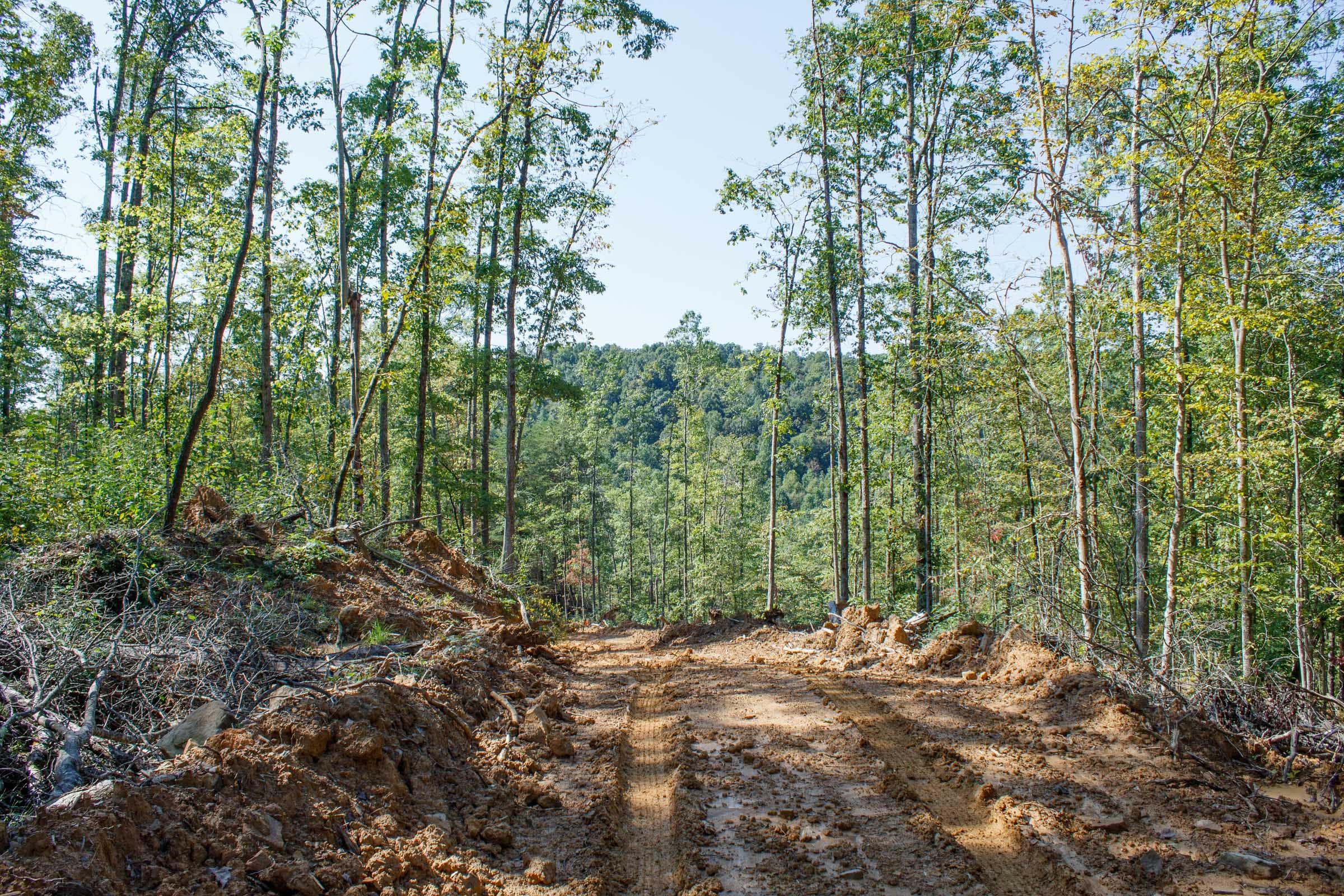 Wounded Oak Tract 22 photo 1