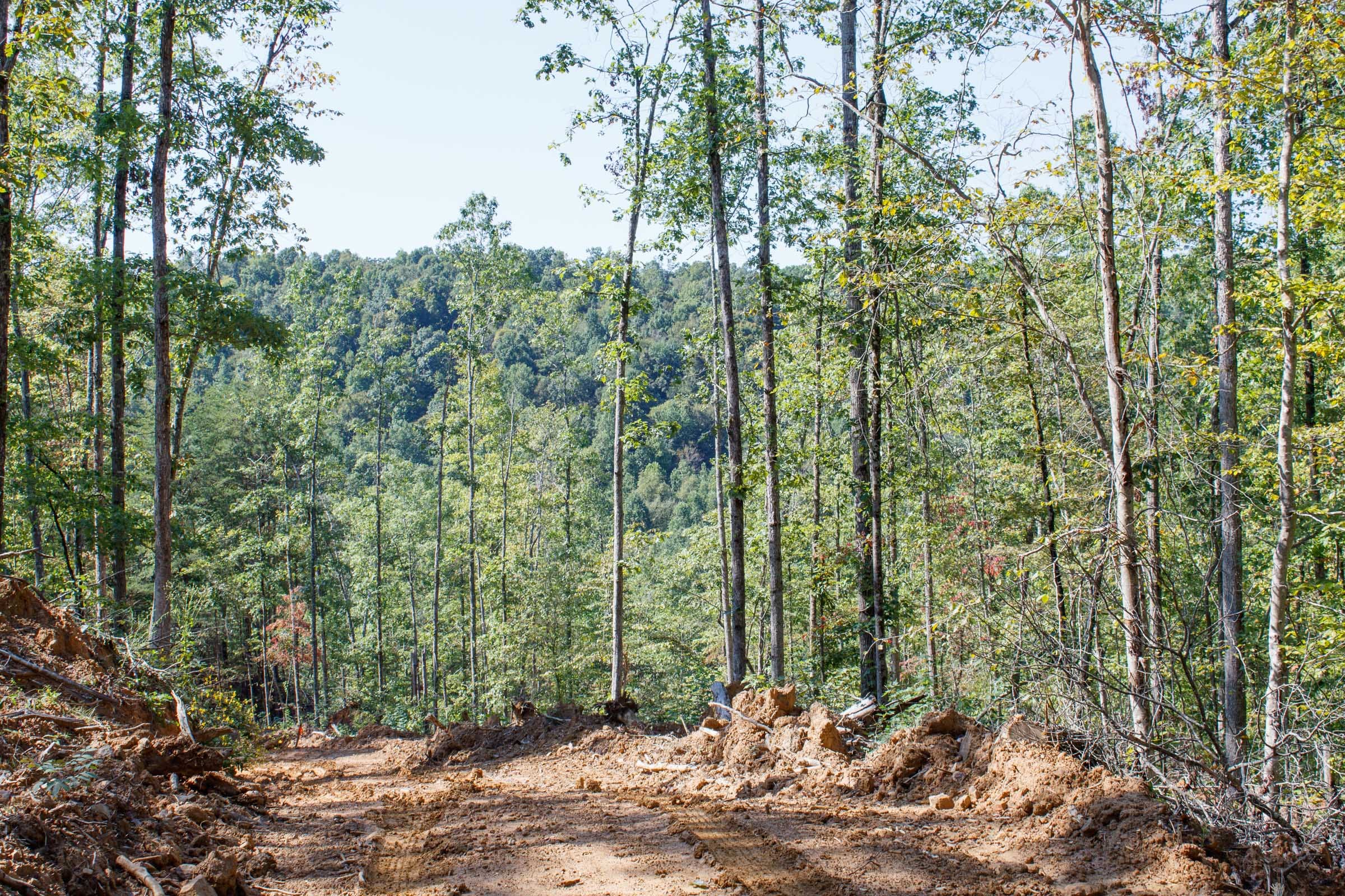 Wounded Oak Tract 22 photo 2