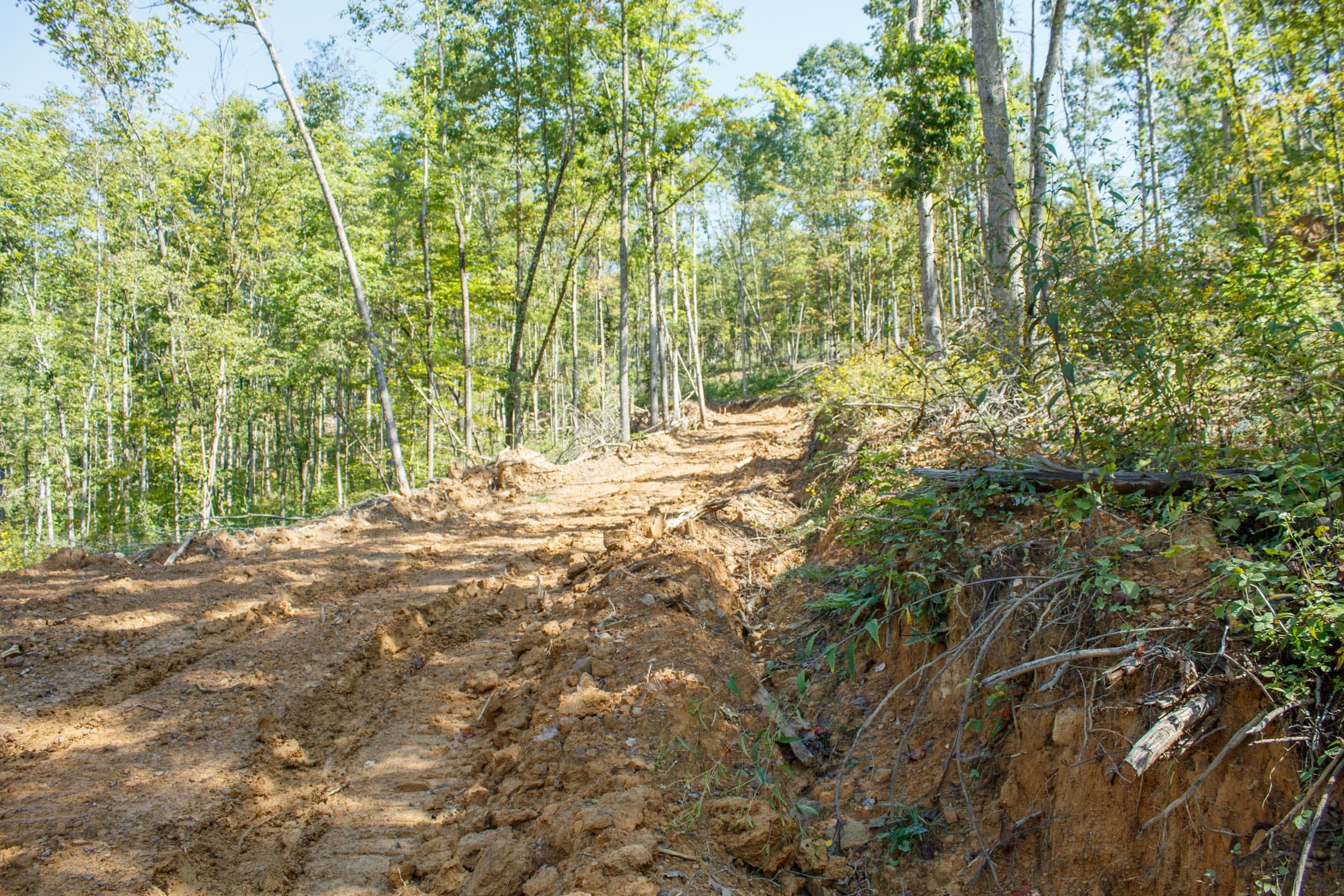 Wounded Oak Tract 22 photo 7