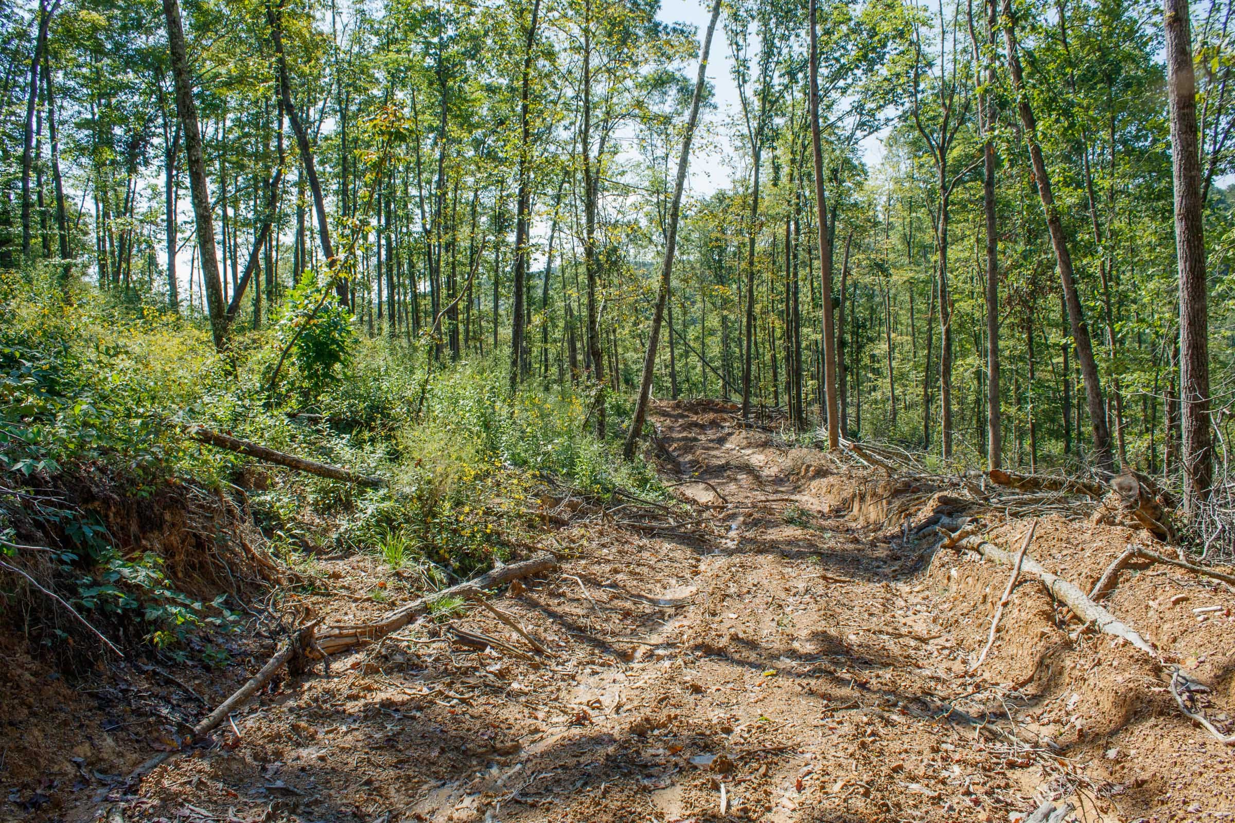 Wounded Oak Tract 22 photo 15