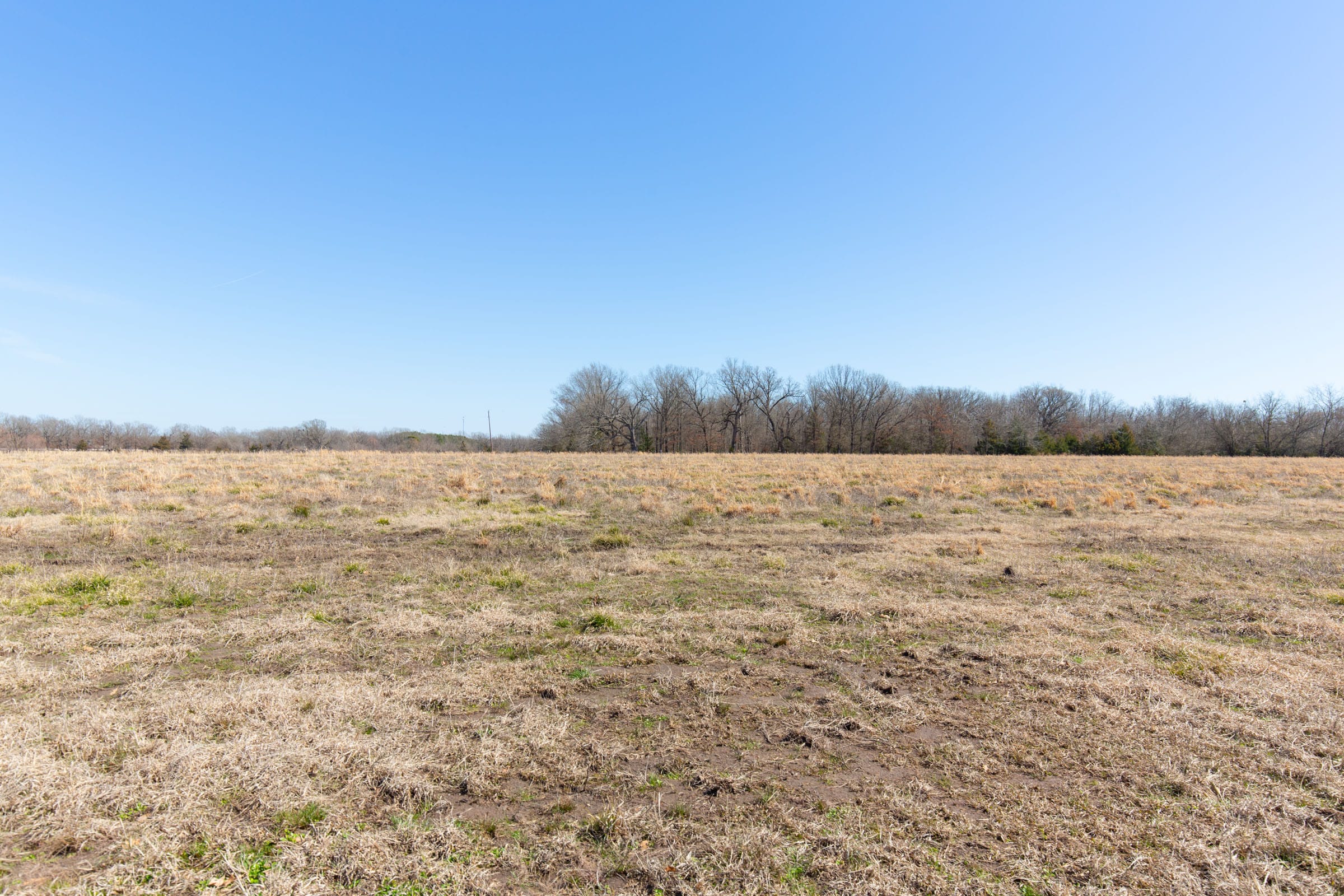 Wishing Star Ranch Tract 17 photo 4