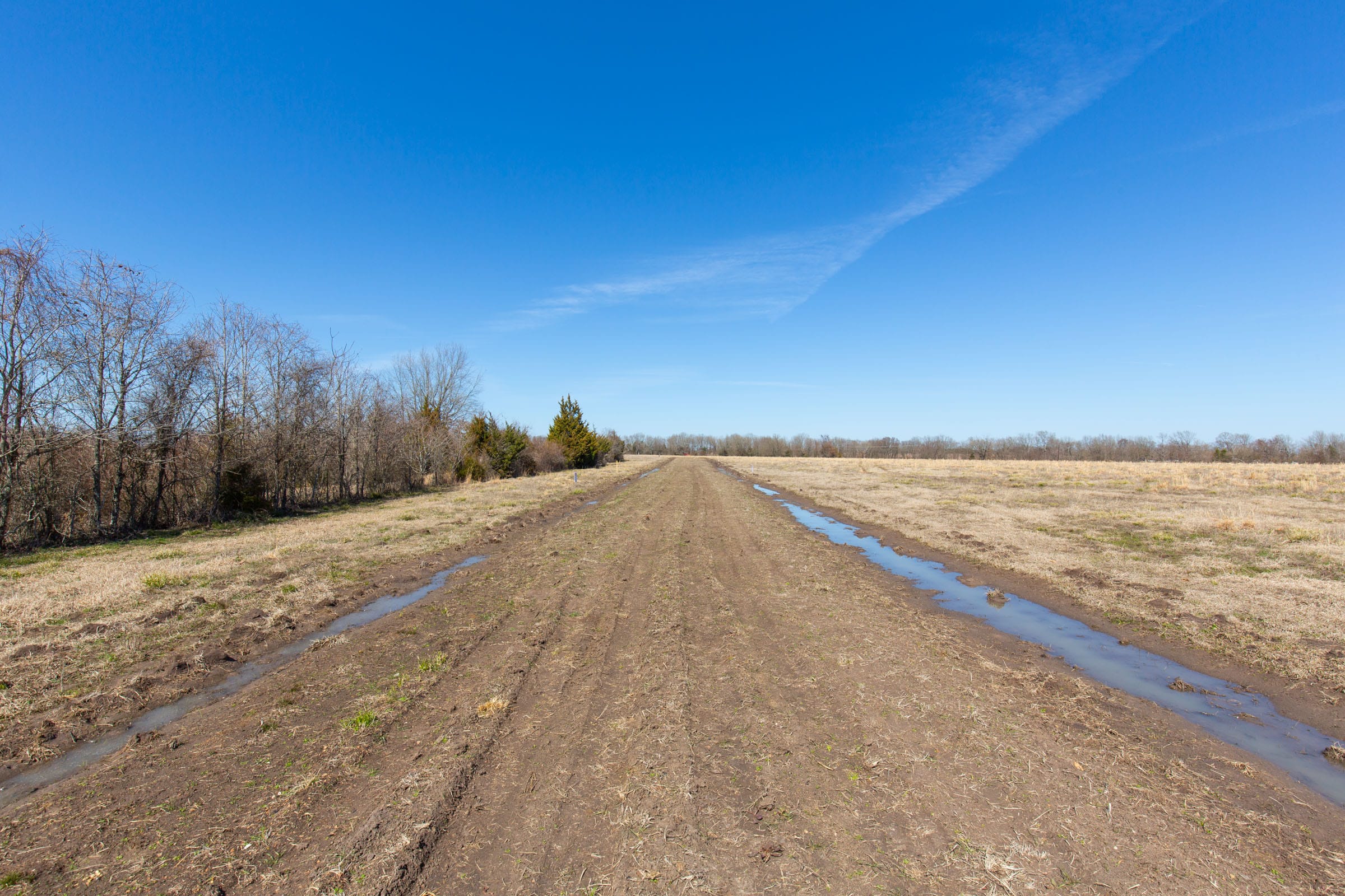 Wishing Star Ranch Tract 17 photo 5