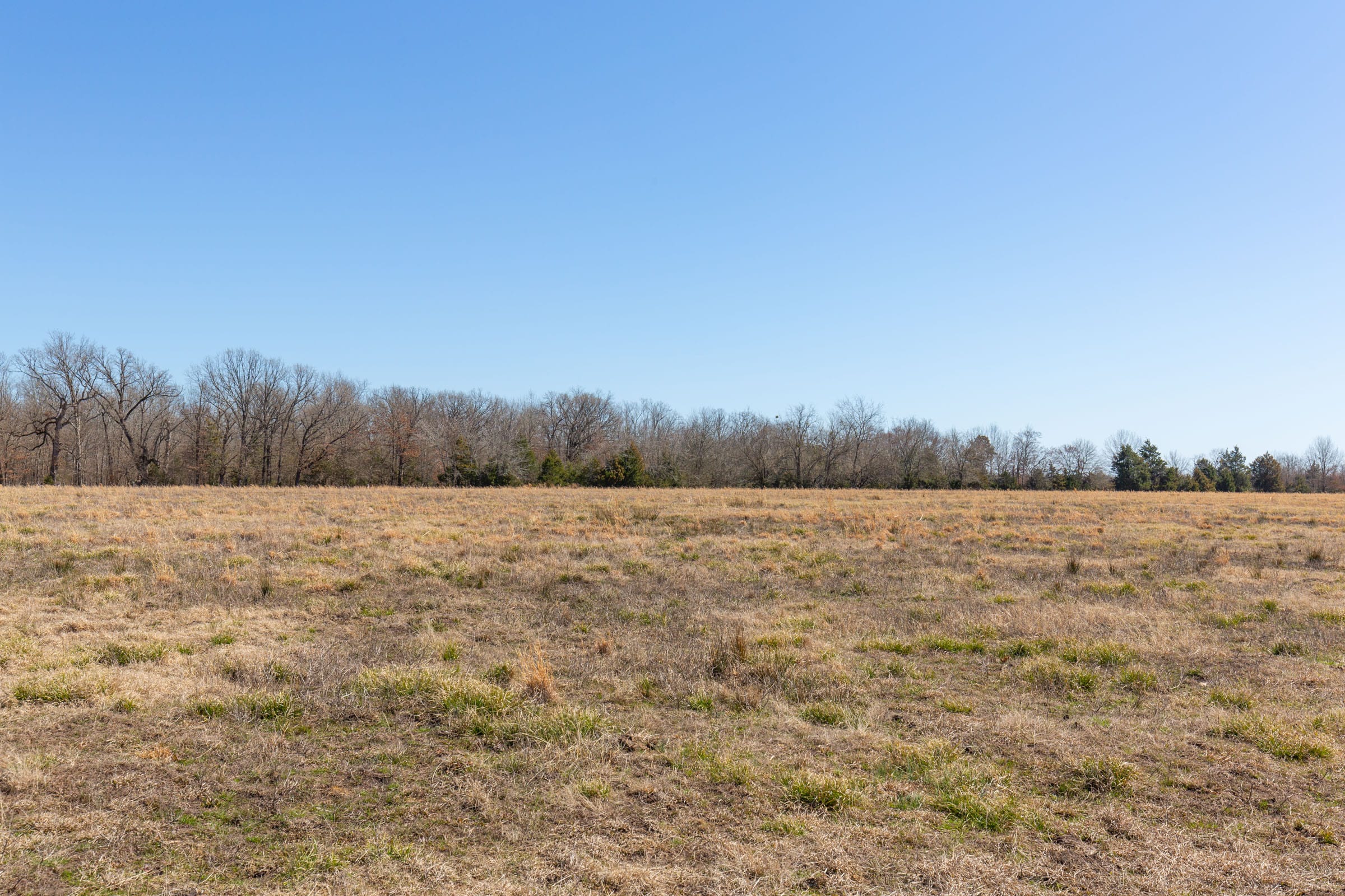 Wishing Star Ranch Tract 17 photo 6