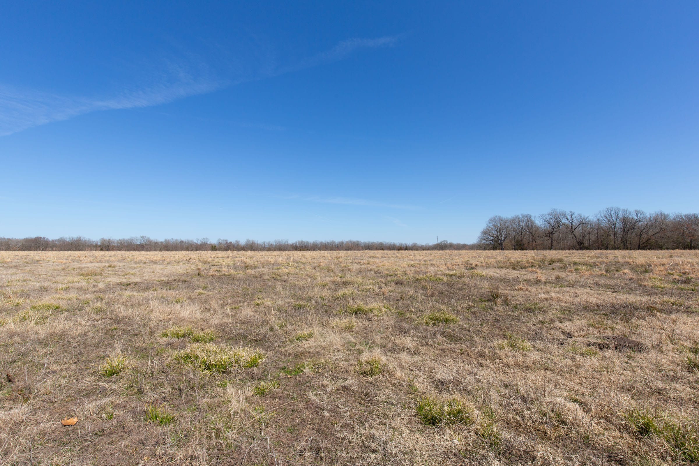 Wishing Star Ranch Tract 17 photo 8