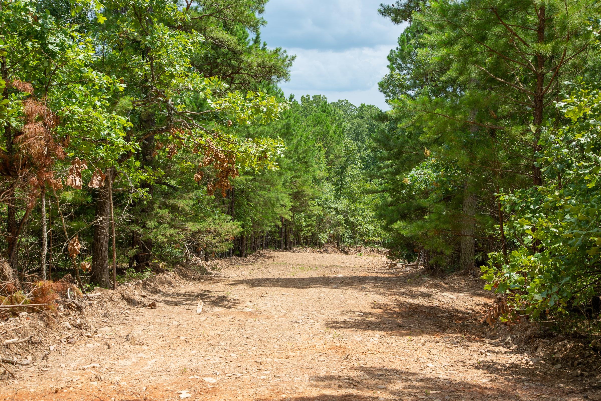 Tyler Stone Ranch Tract 51 photo 2