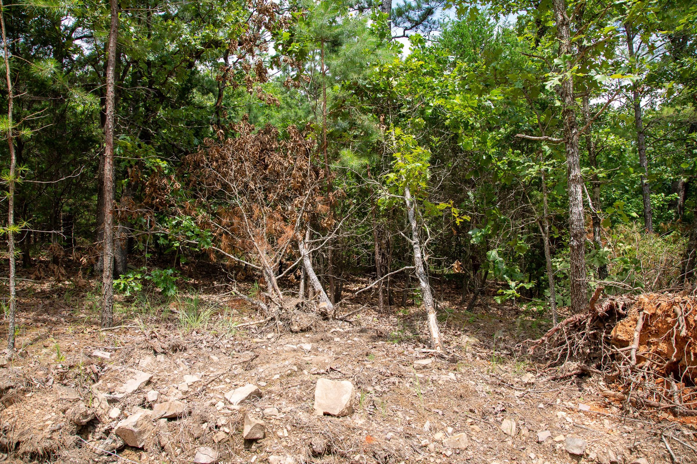 Tyler Stone Ranch Tract 51 photo 3