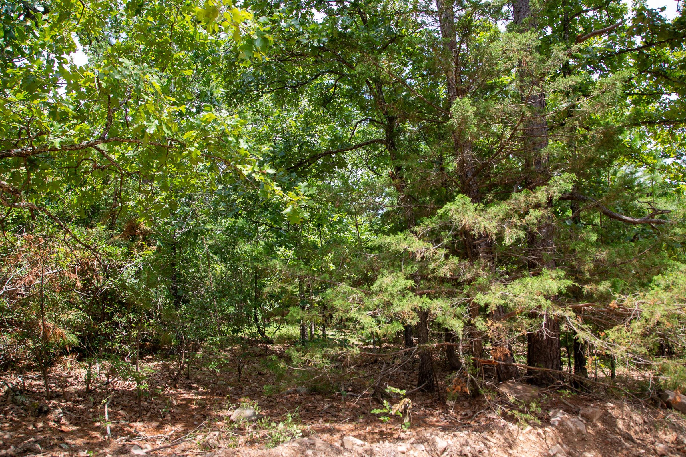 Tyler Stone Ranch Tract 51 photo 4