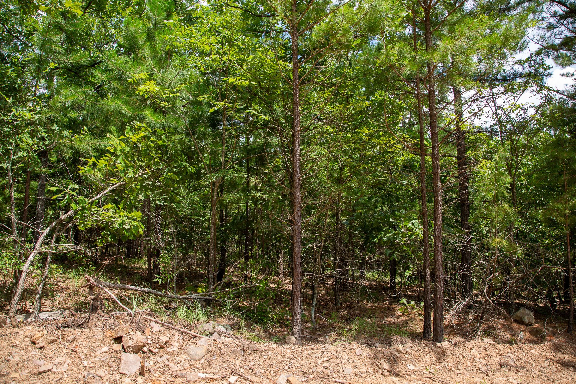 Tyler Stone Ranch Tract 51 photo 5
