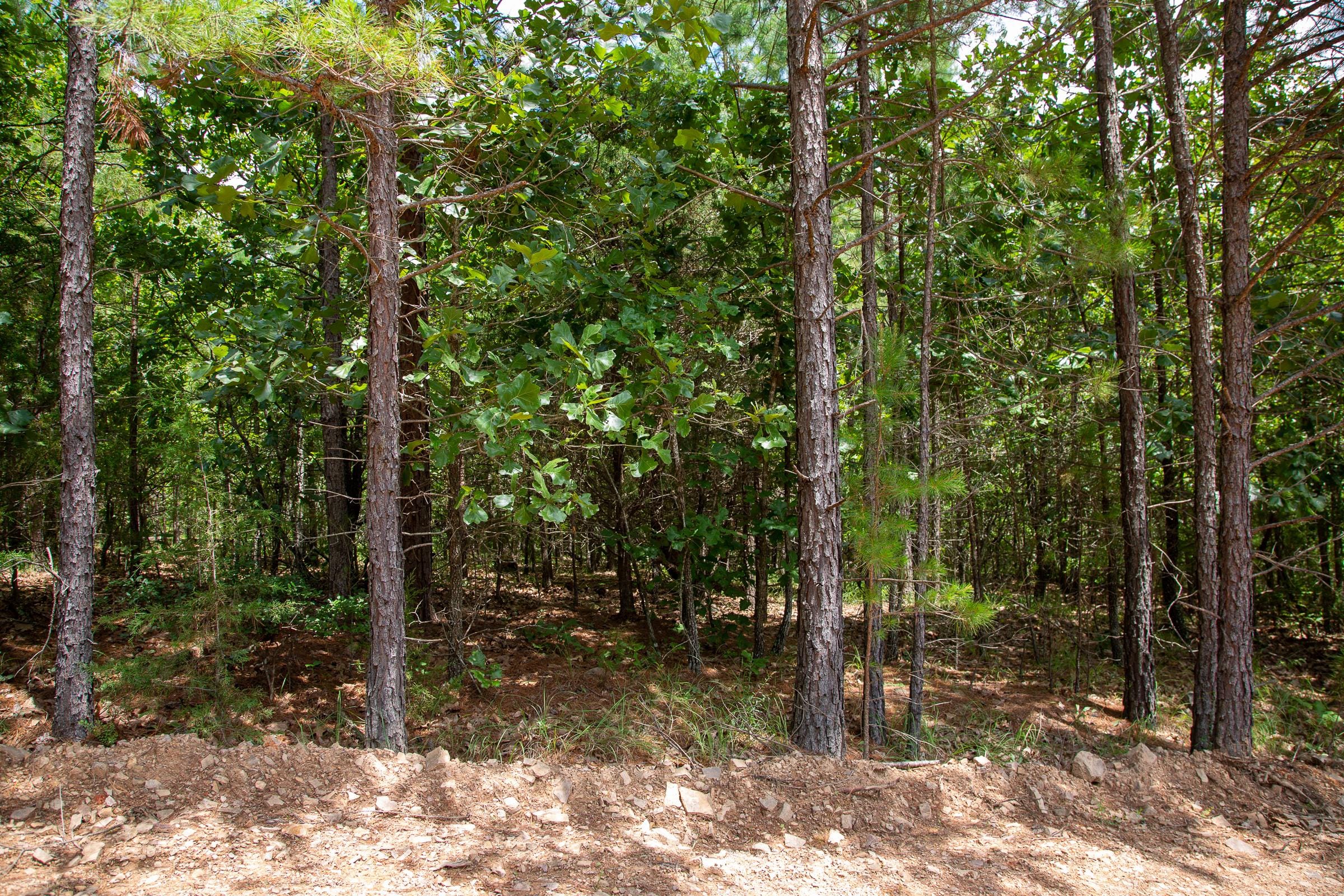 Tyler Stone Ranch Tract 51 photo 8