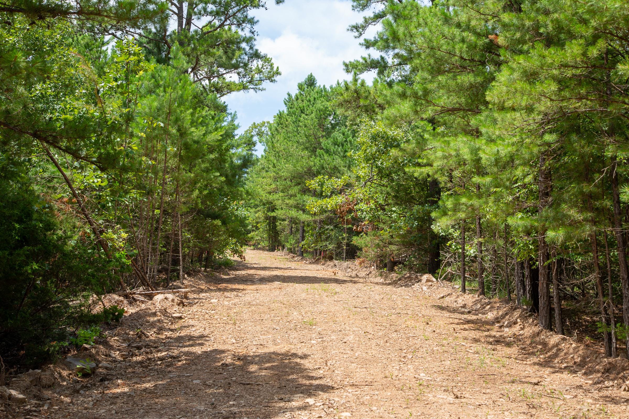 Tyler Stone Ranch Tract 51 photo 6