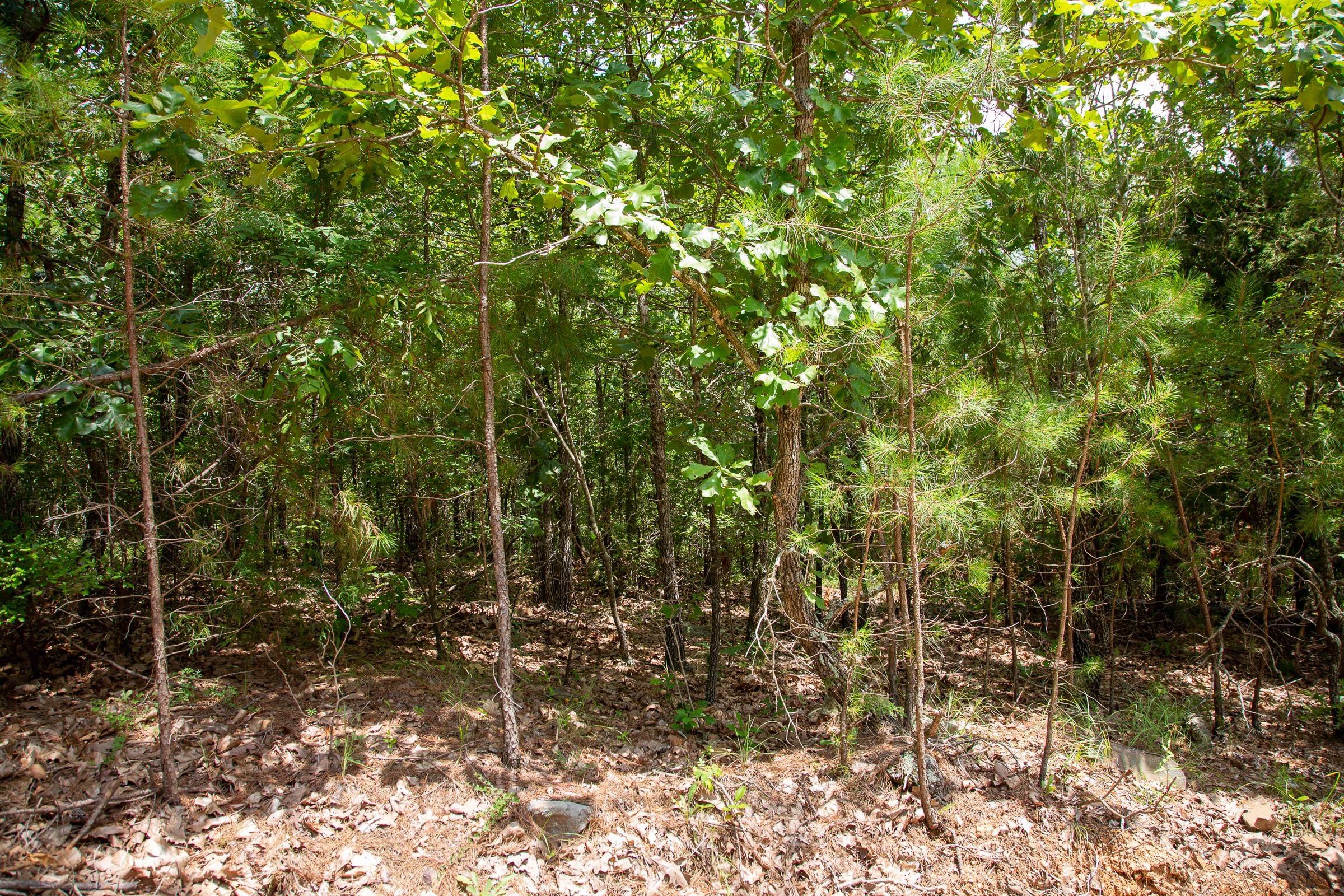 Tyler Stone Ranch Tract 51 photo 9