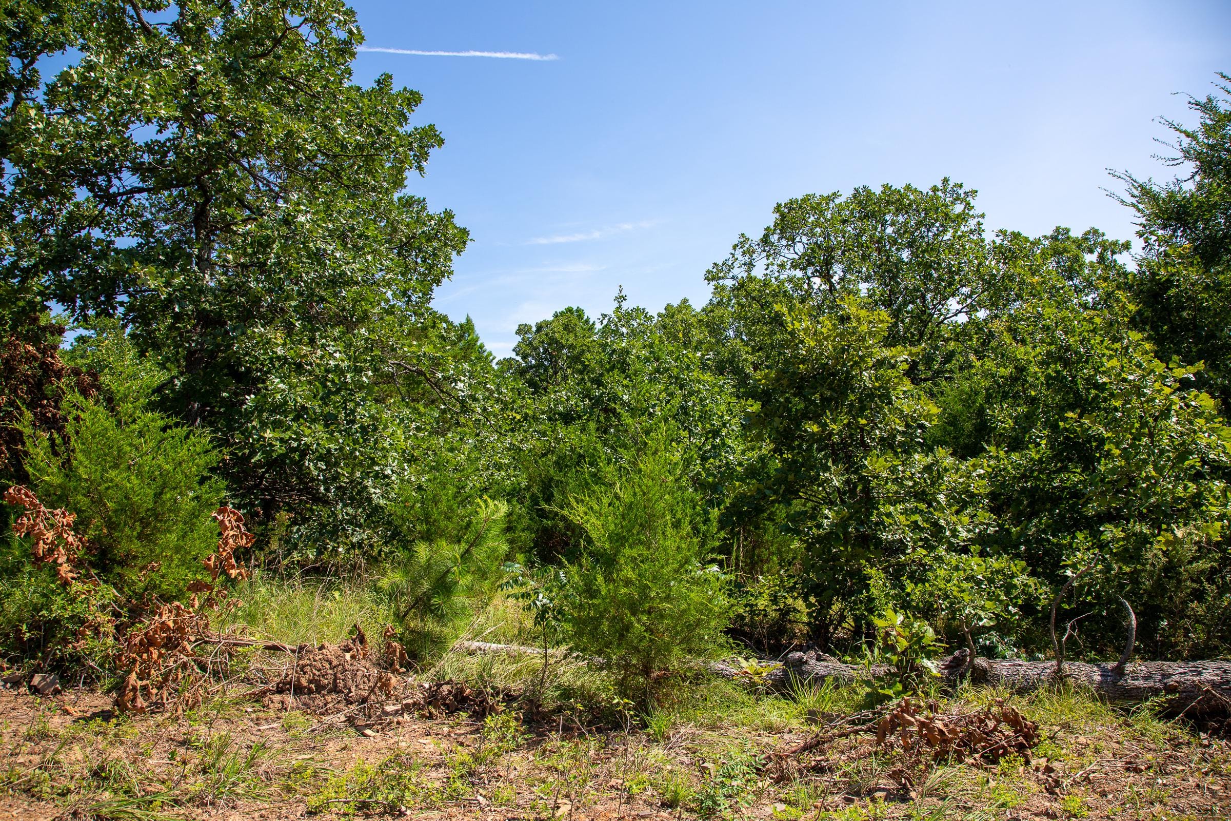 Tyler Stone Ranch Tract 36 photo 4