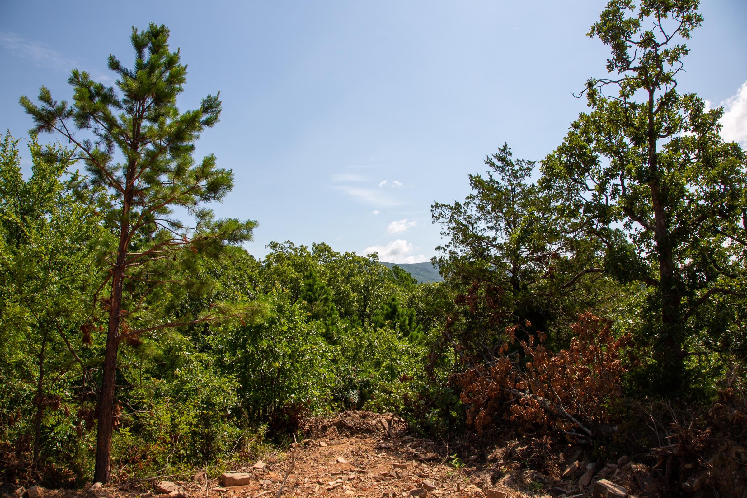Tyler Stone Ranch Tract 36 photo 8