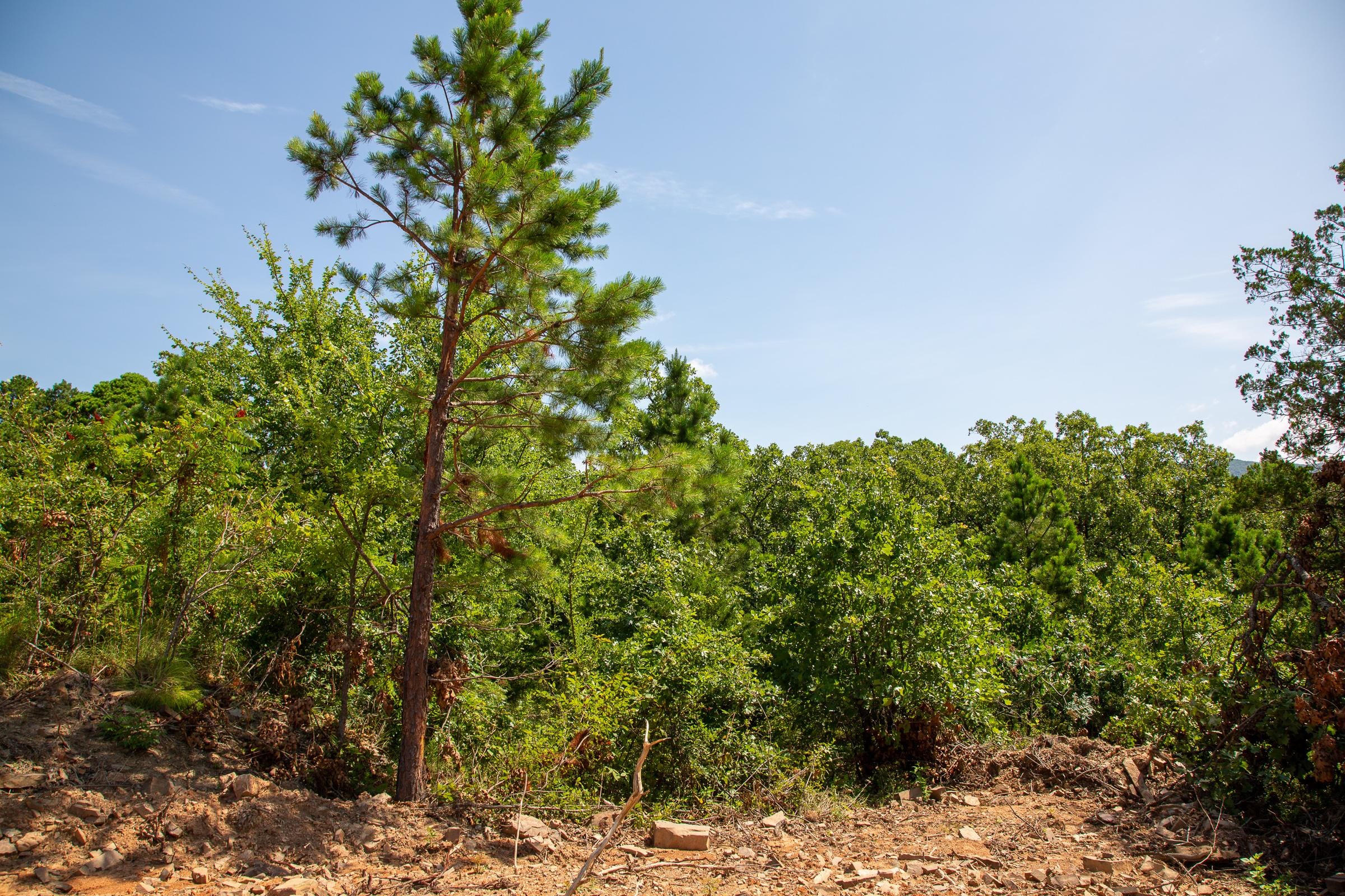 Tyler Stone Ranch Tract 36 photo 9