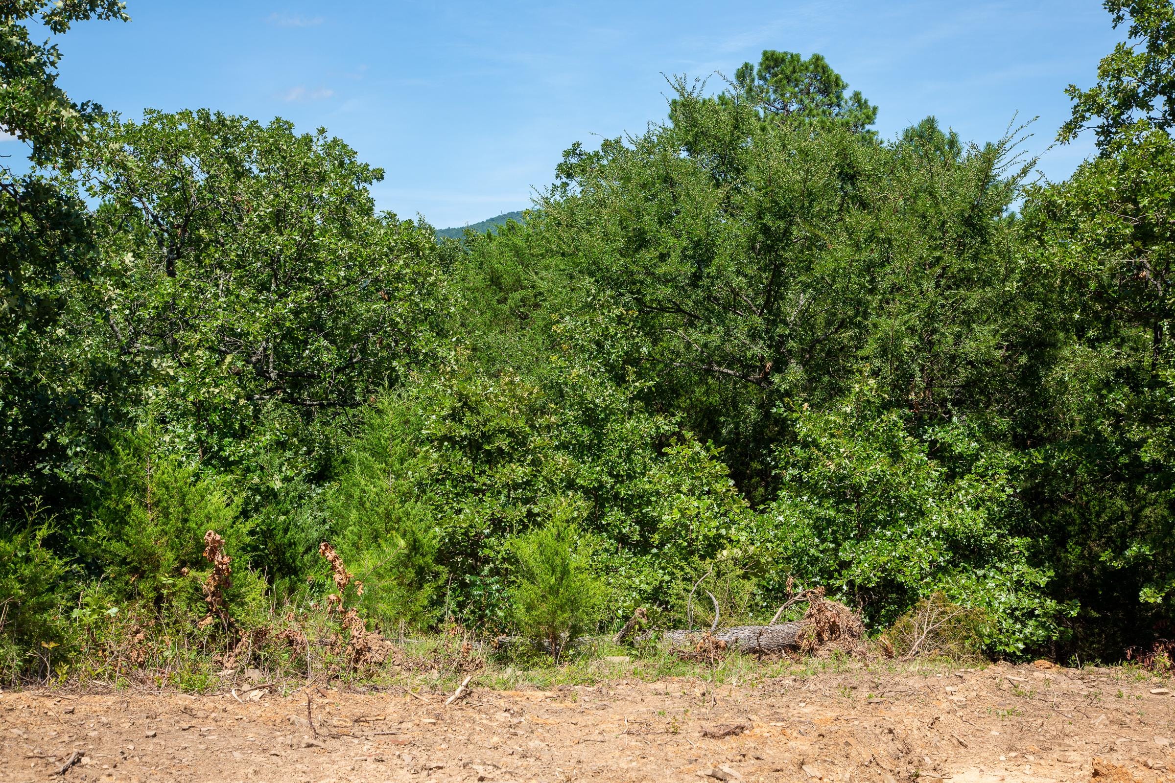 Tyler Stone Ranch Tract 36 photo 13