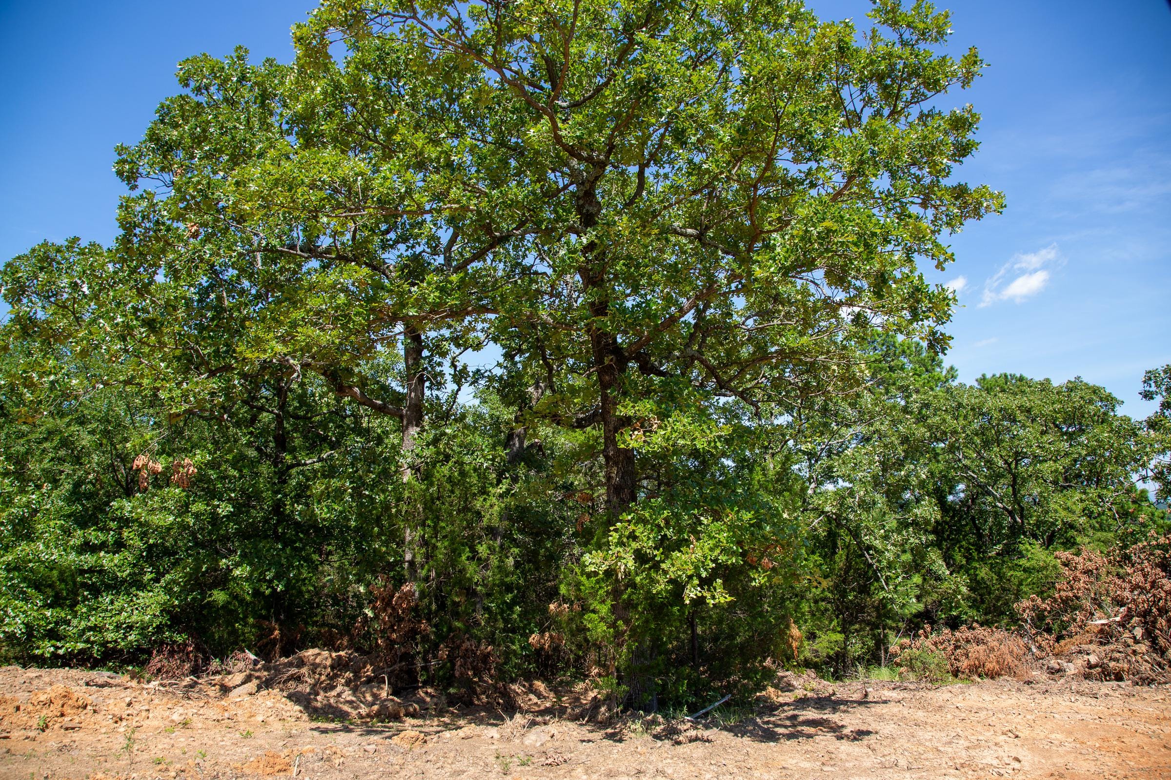 Tyler Stone Ranch Tract 36 photo 14