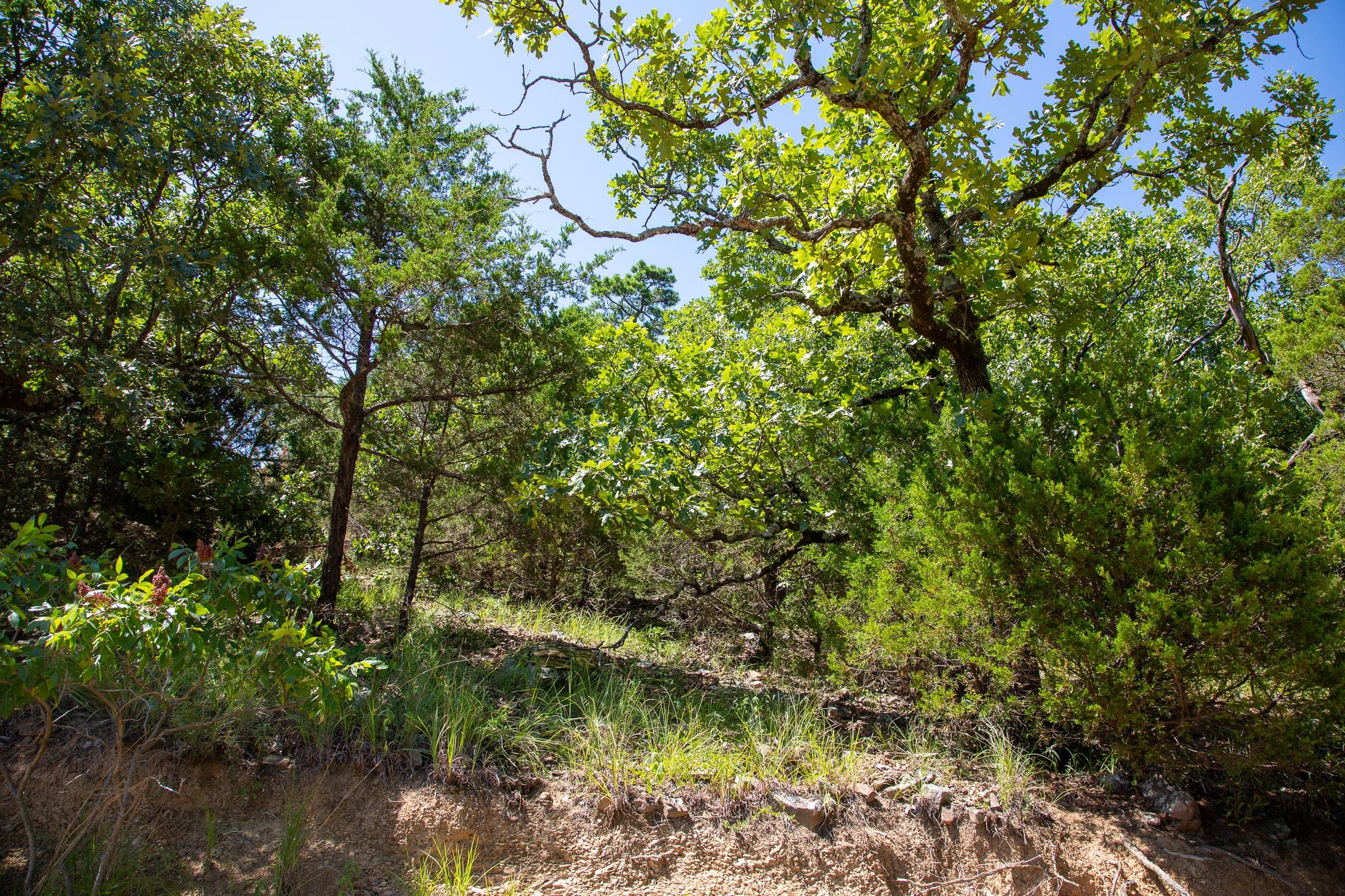Tyler Stone Ranch Tract 36 photo 18