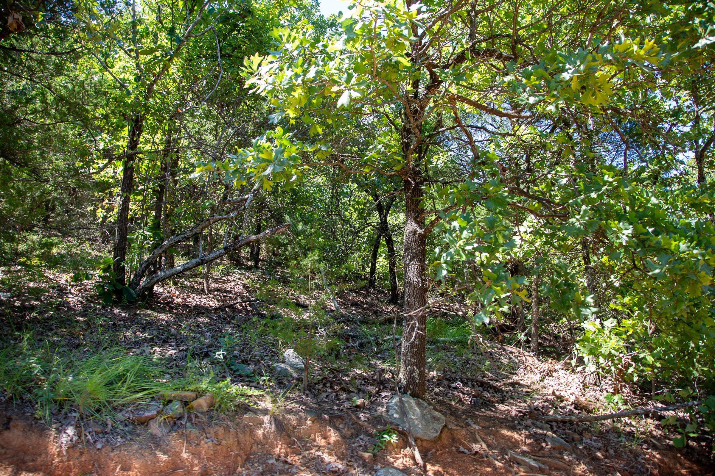 Tyler Stone Ranch Tract 36 photo 20