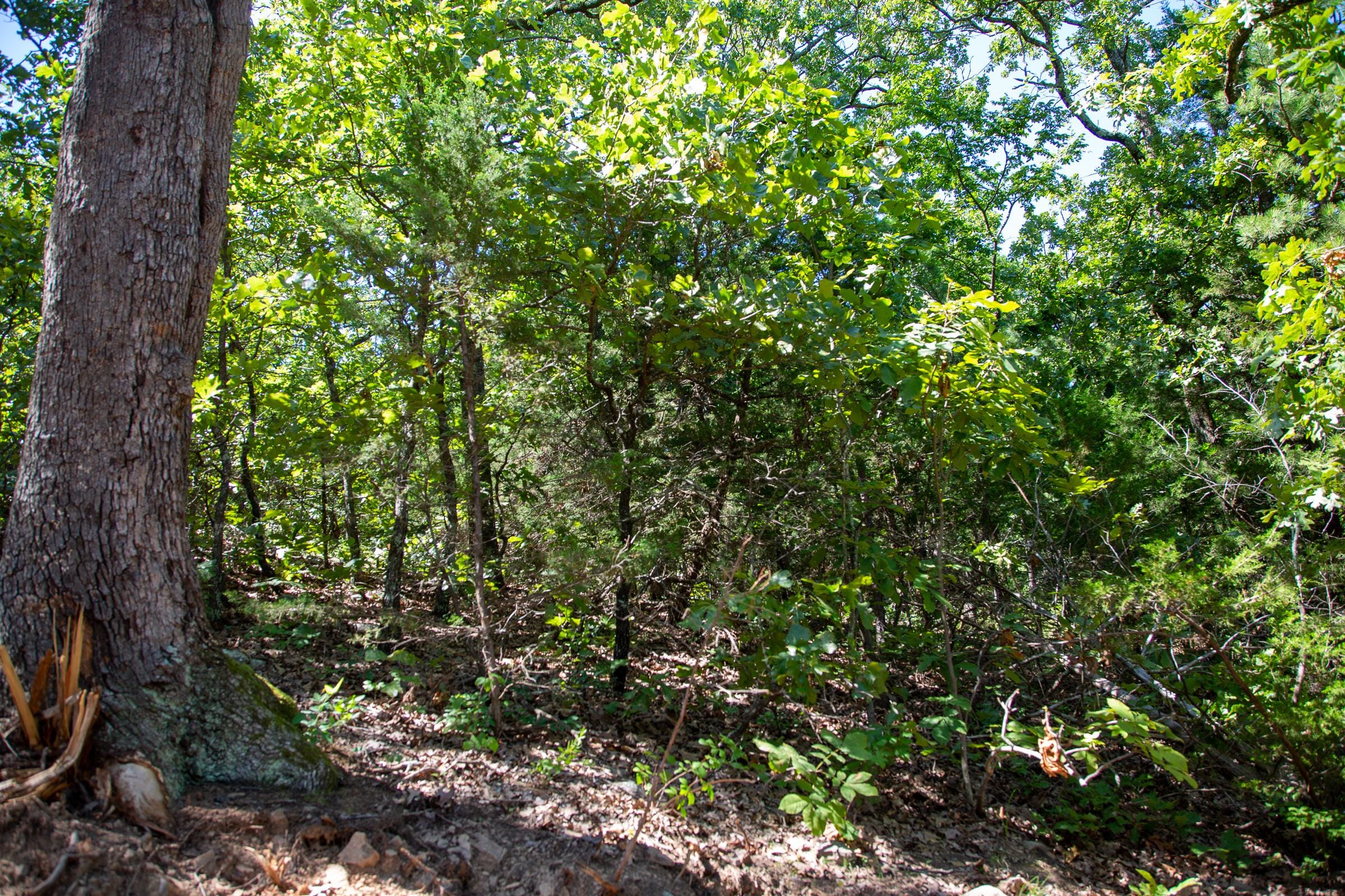 Tyler Stone Ranch Tract 36 photo 21
