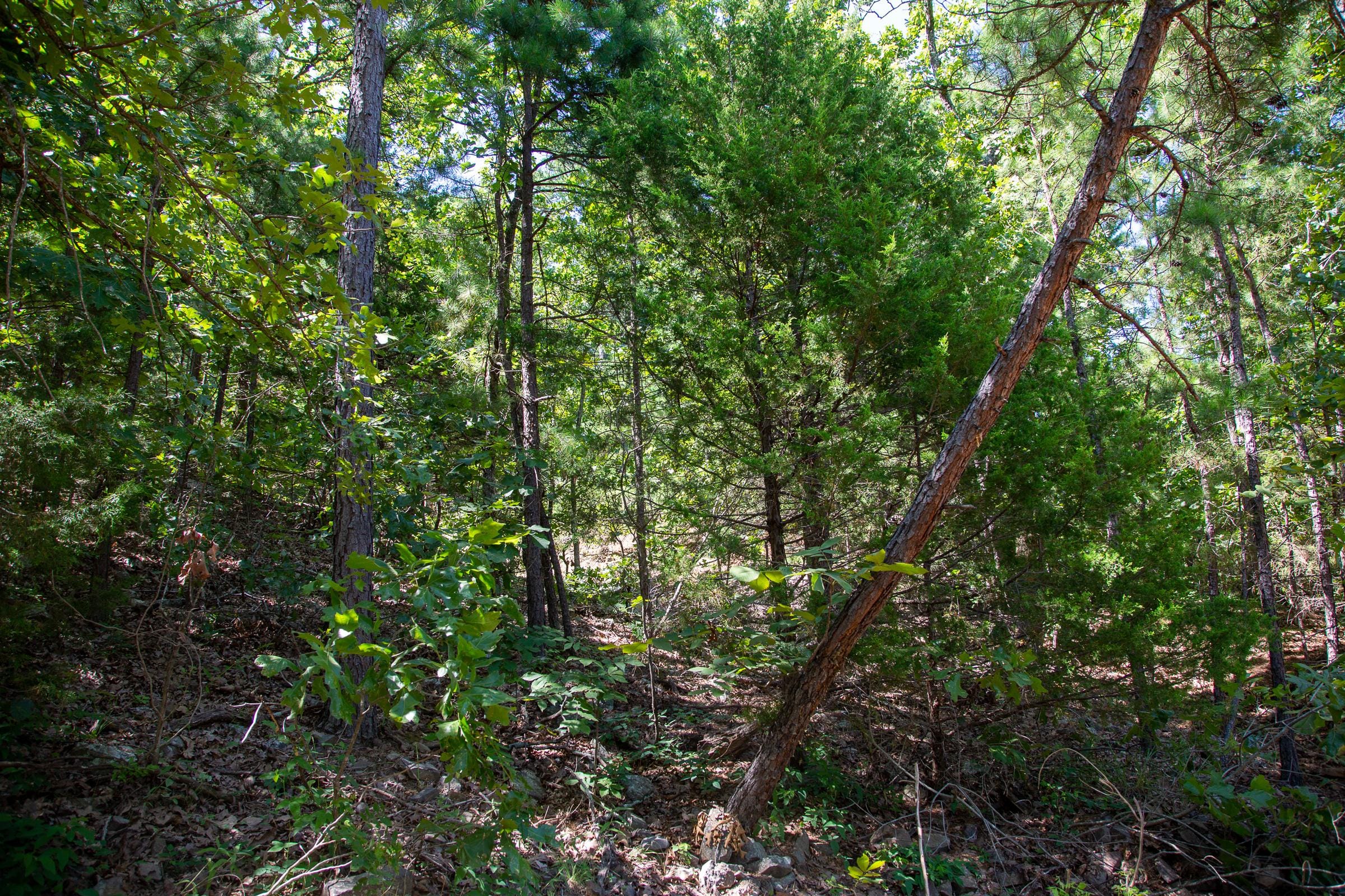 Tyler Stone Ranch Tract 36 photo 22