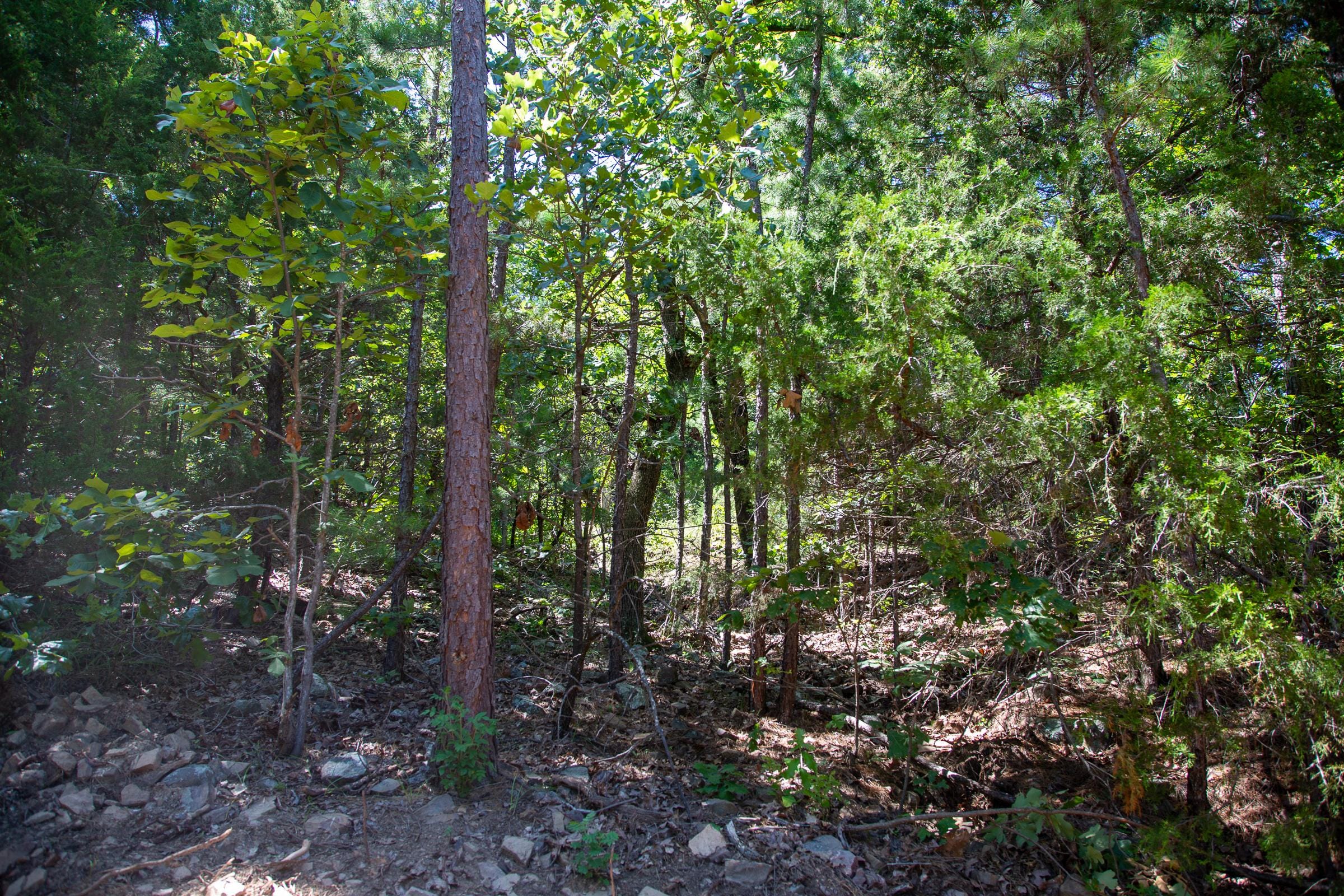Tyler Stone Ranch Tract 36 photo 23