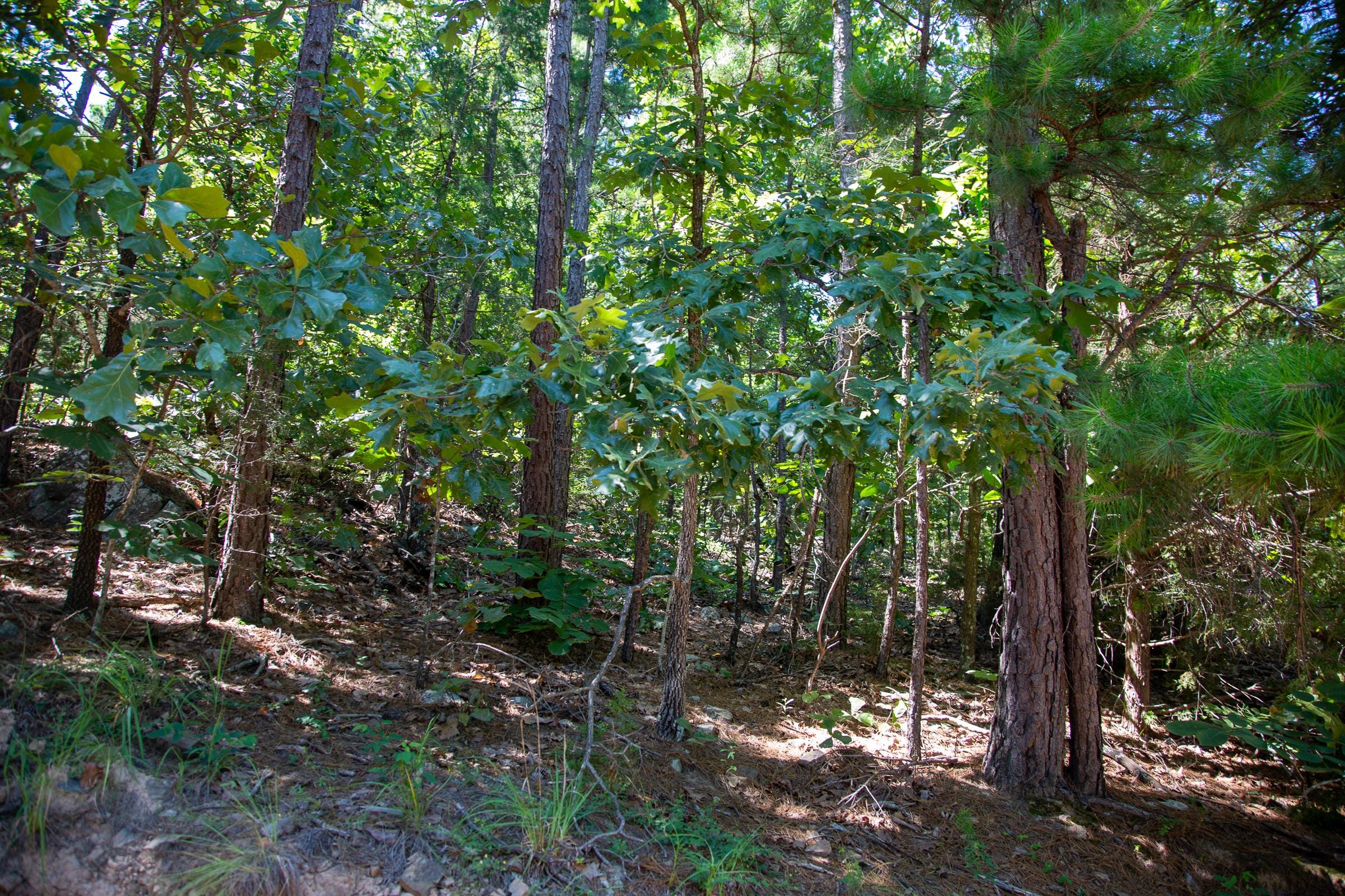 Tyler Stone Ranch Tract 36 photo 24