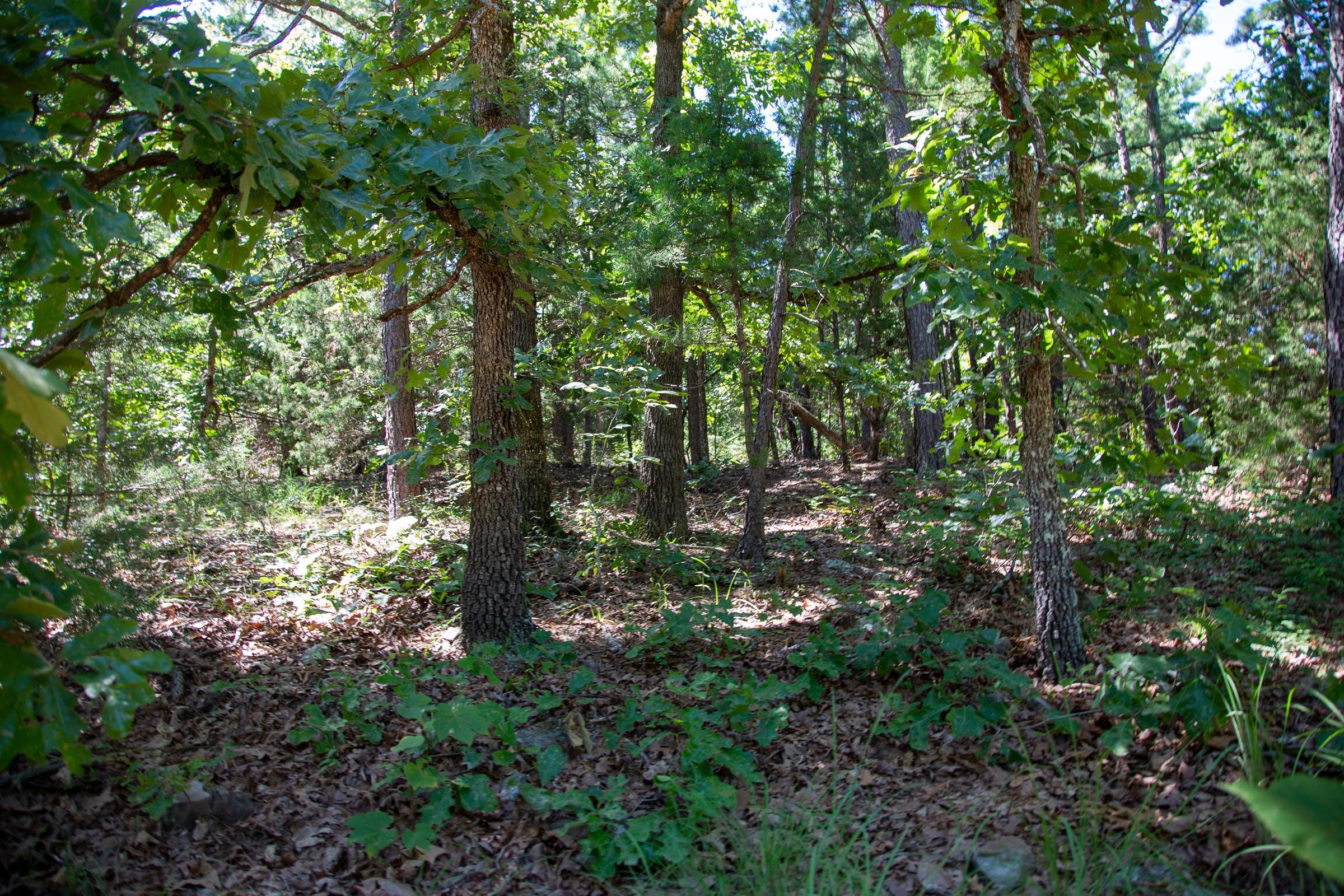 Tyler Stone Ranch Tract 36 photo 25