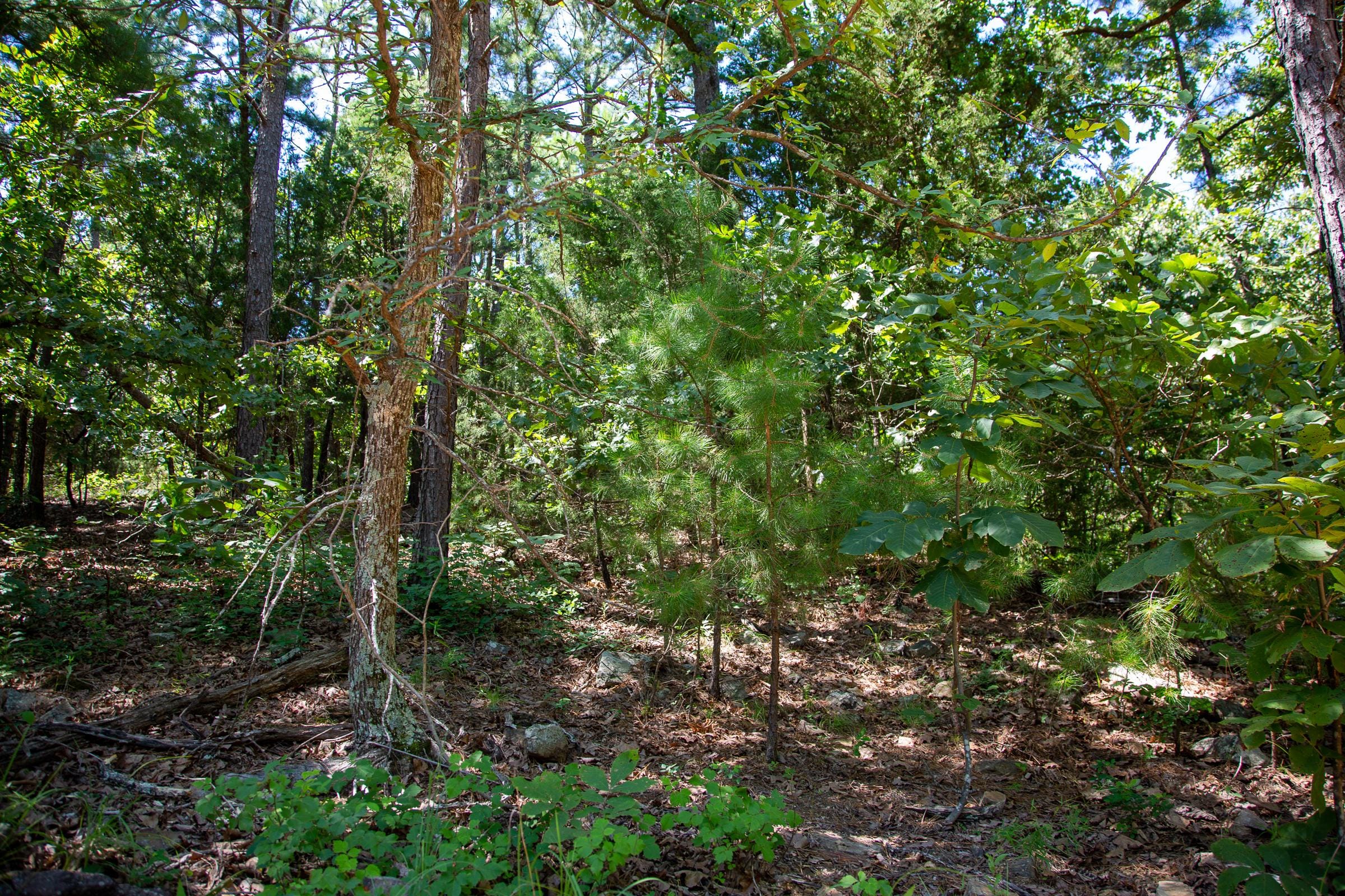 Tyler Stone Ranch Tract 36 photo 26