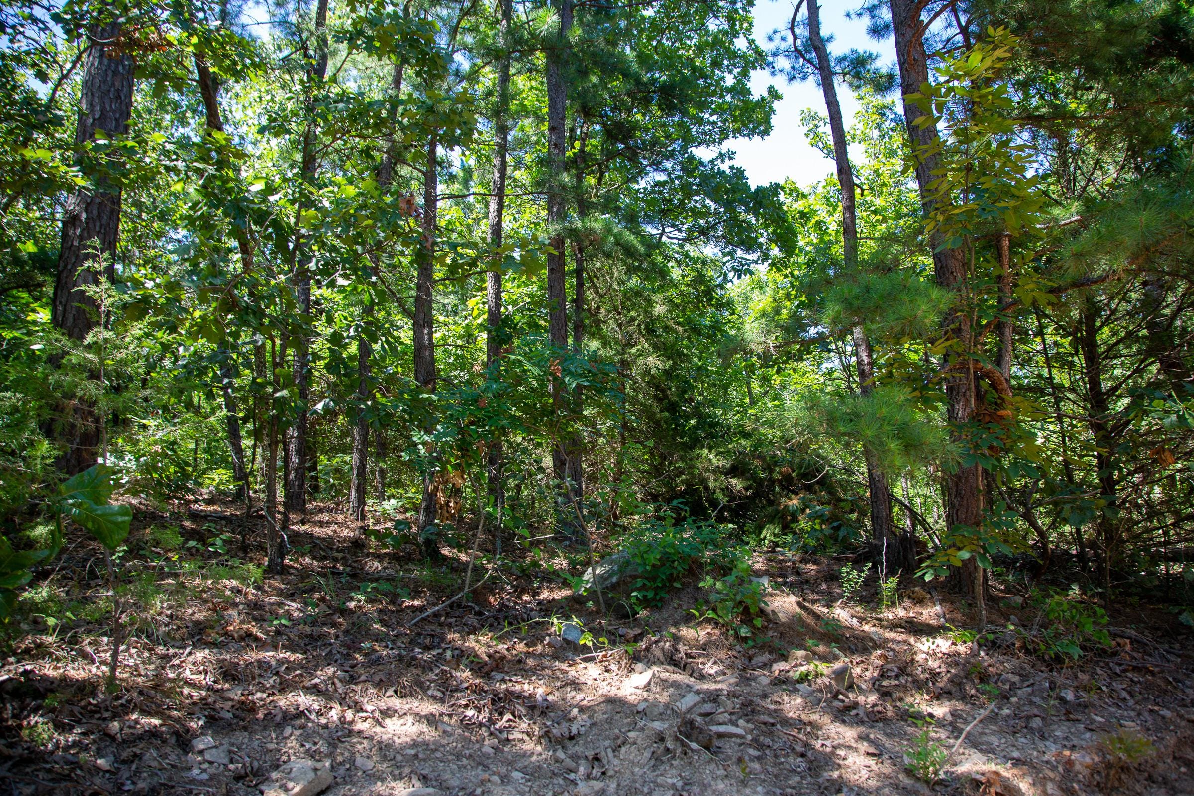Tyler Stone Ranch Tract 36 photo 27
