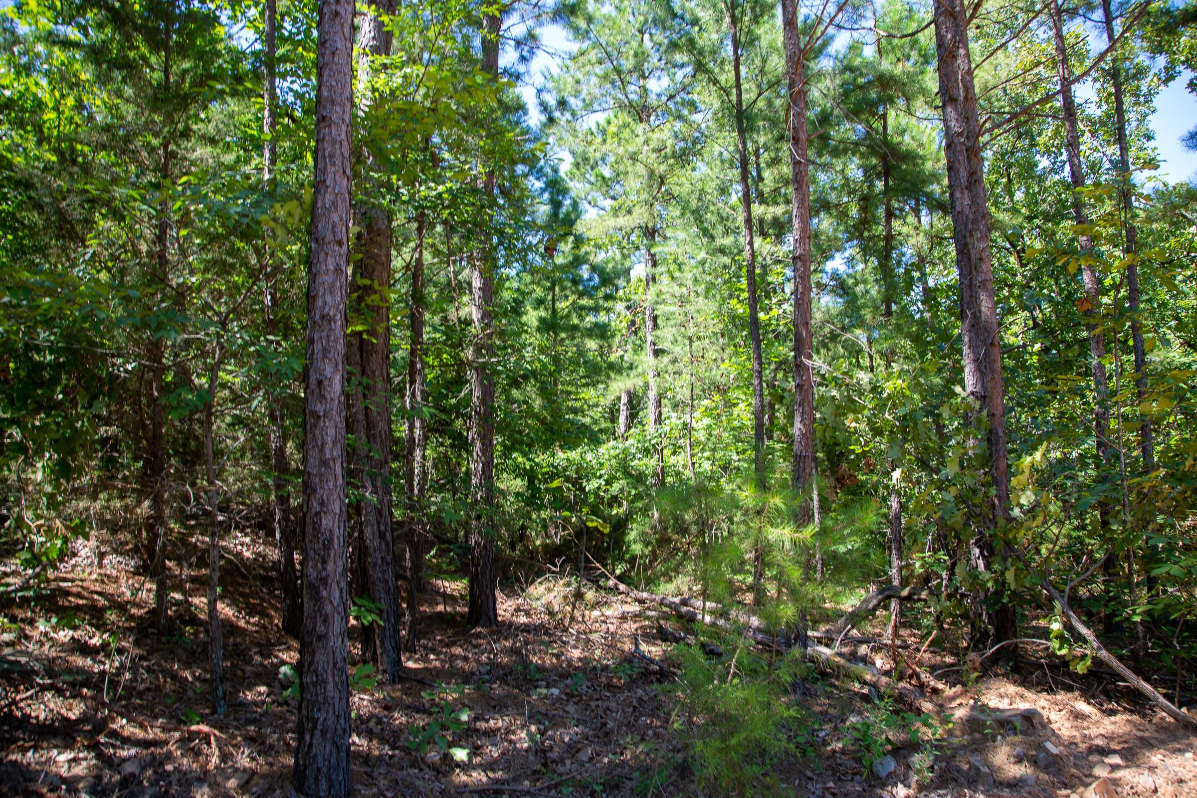 Tyler Stone Ranch Tract 36 photo 28