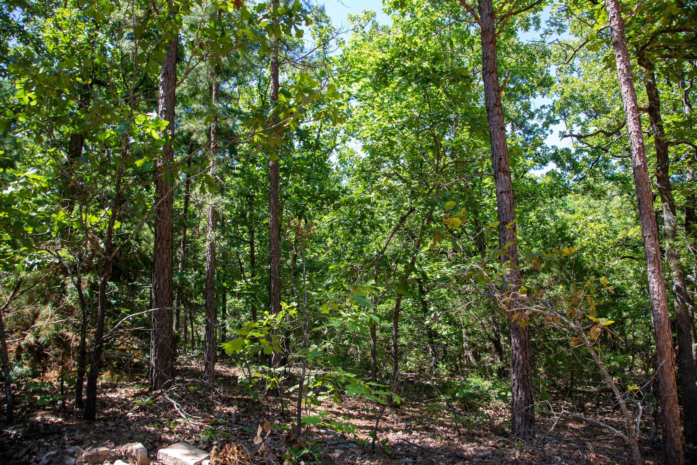 Tyler Stone Ranch Tract 36 photo 29