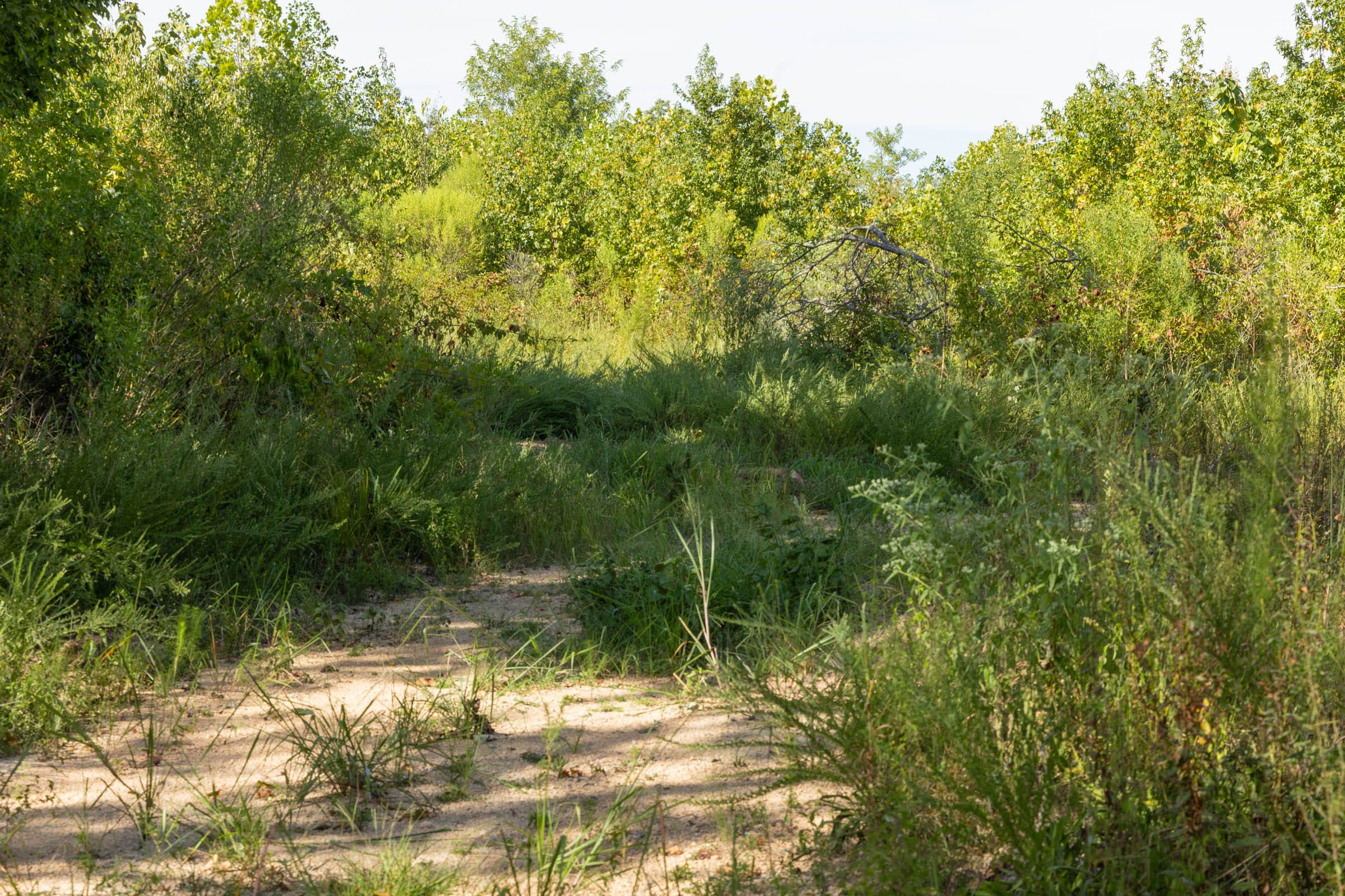 Big White Oak Tract 68 photo 1