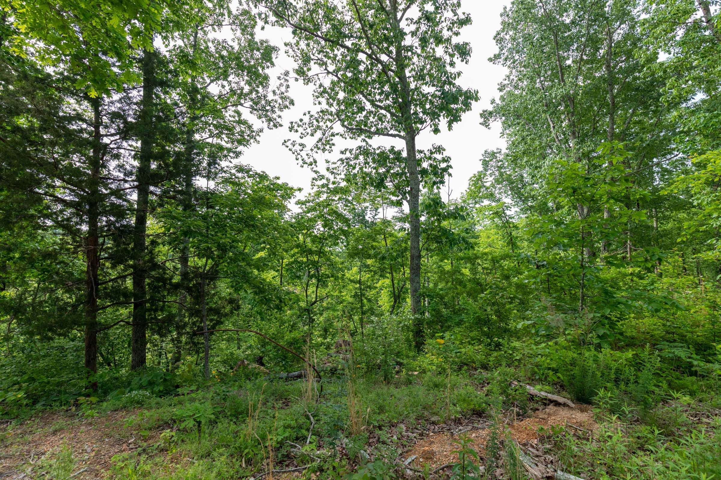 Cedar Creek Tract 1 photo 2