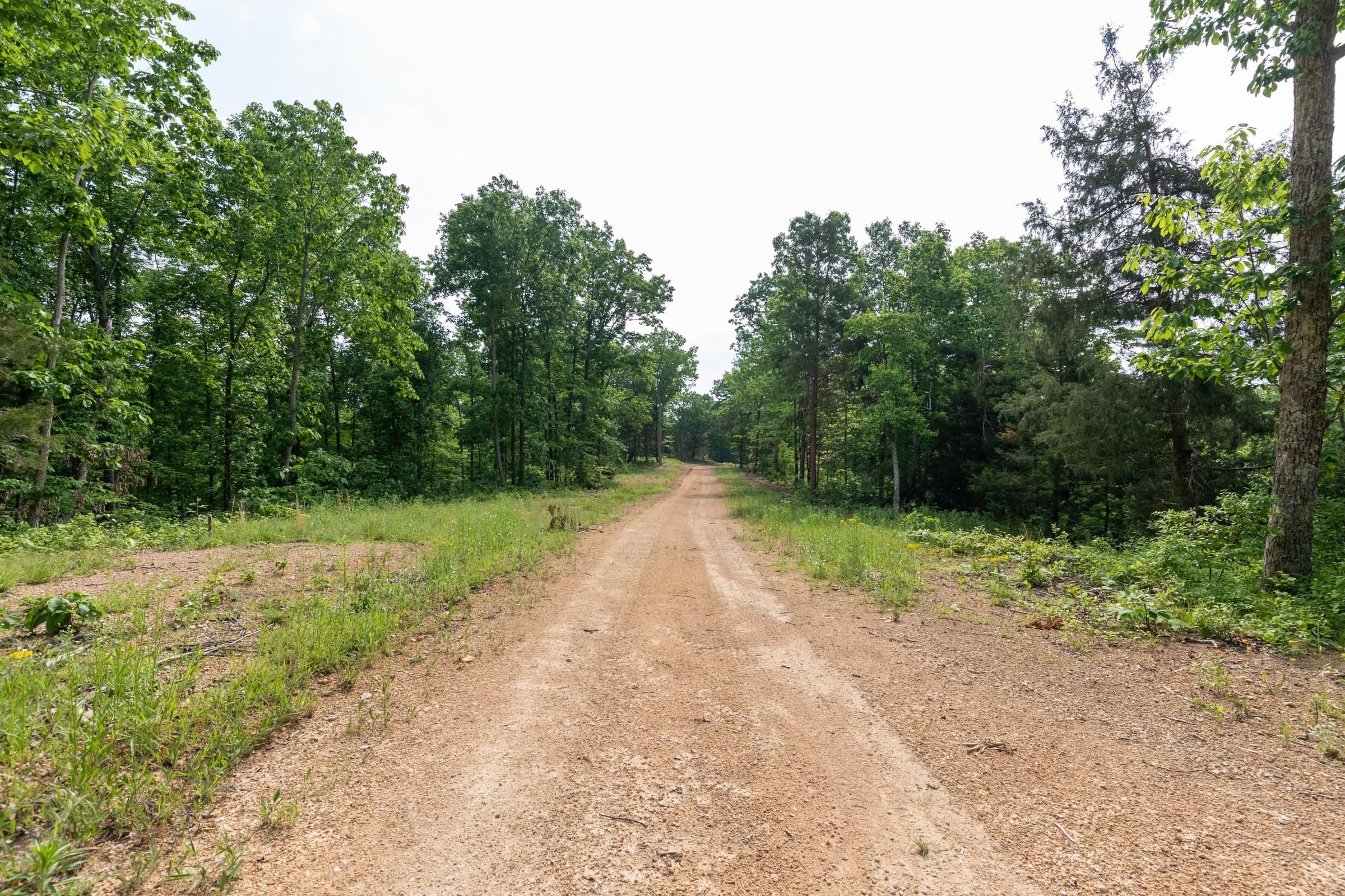 Cedar Creek Tract 1 photo 5