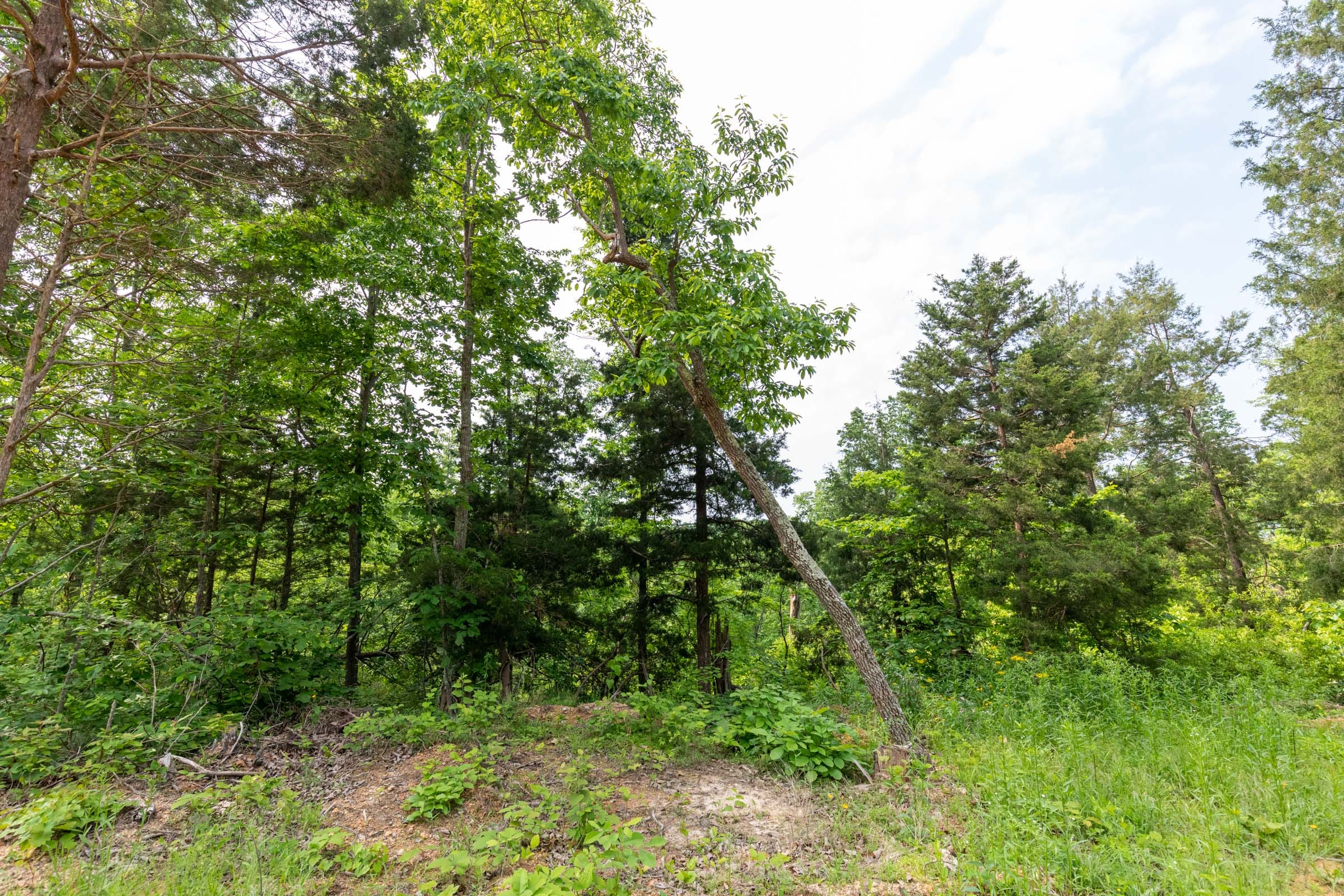 Cedar Creek Tract 1 photo 4