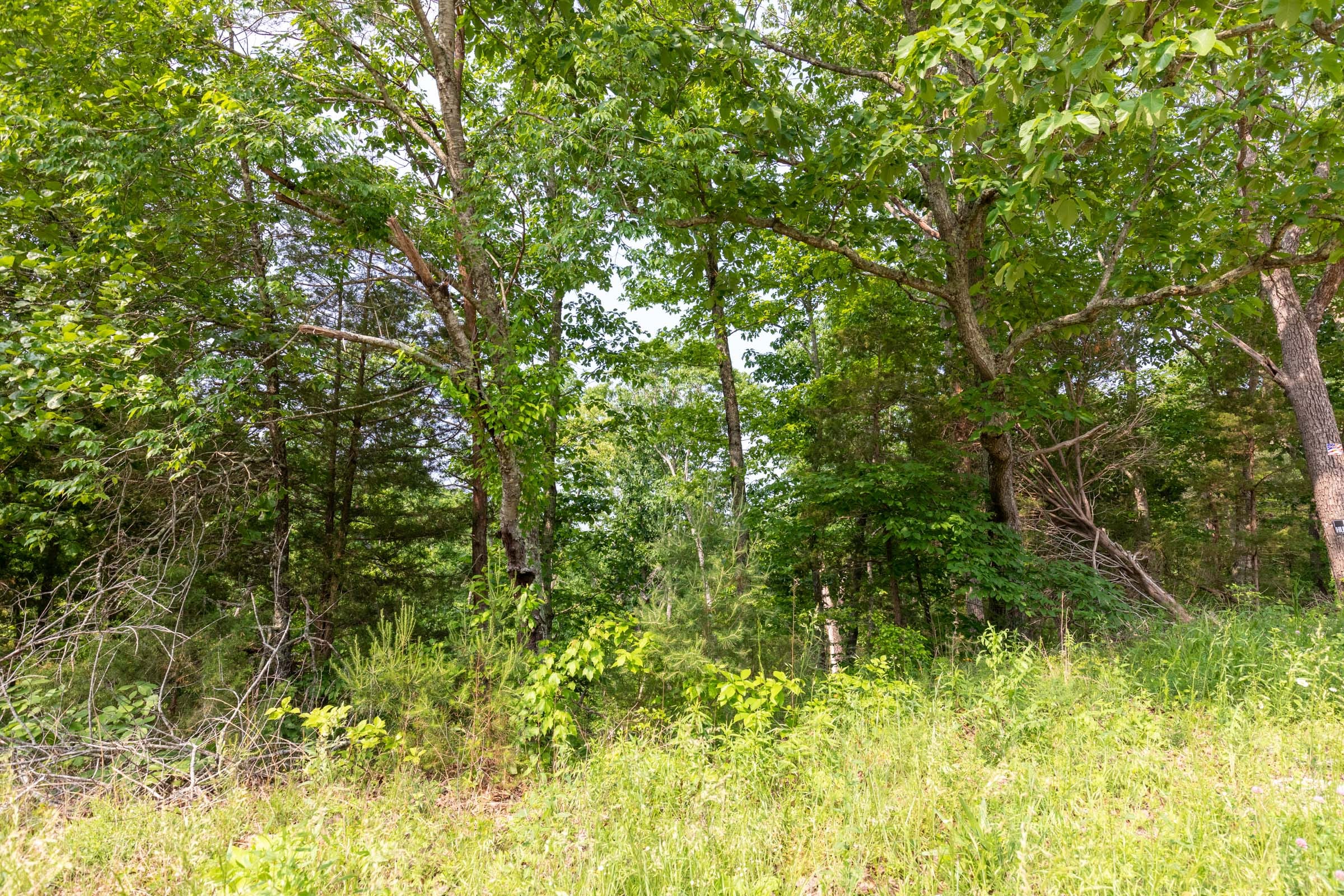 Cedar Creek Tract 1 photo 11