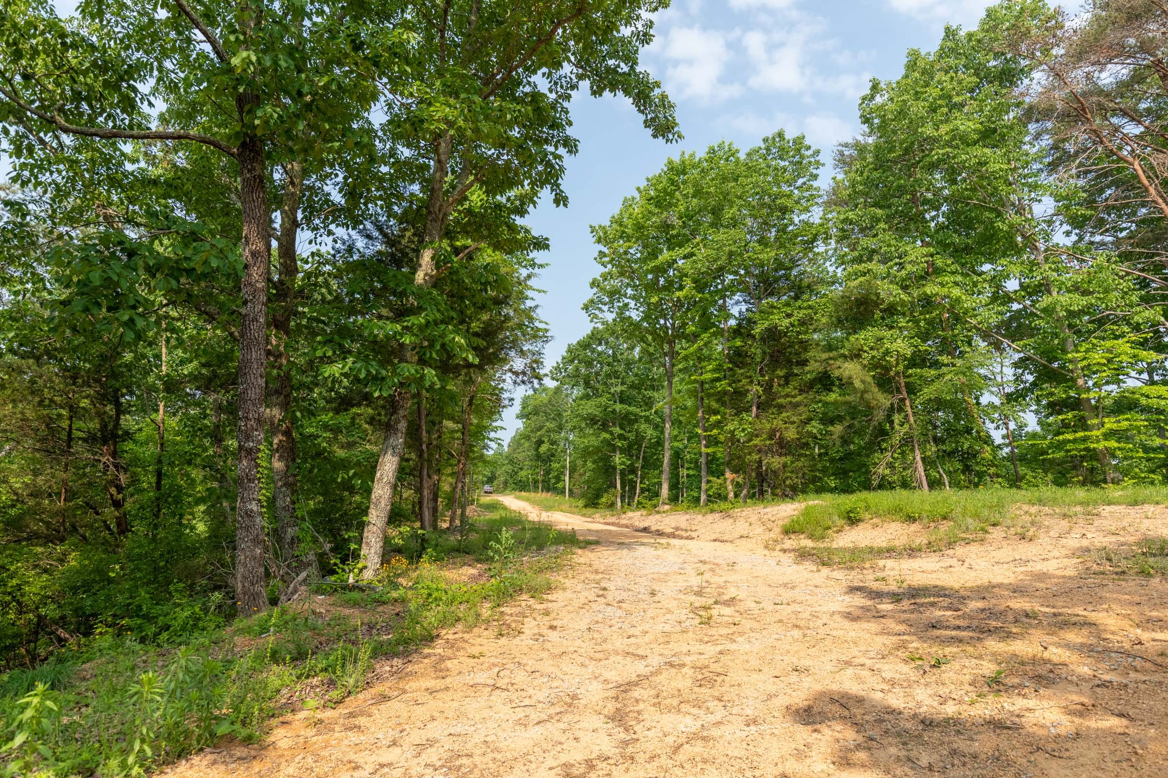 Cedar Creek Tract 1 photo 8