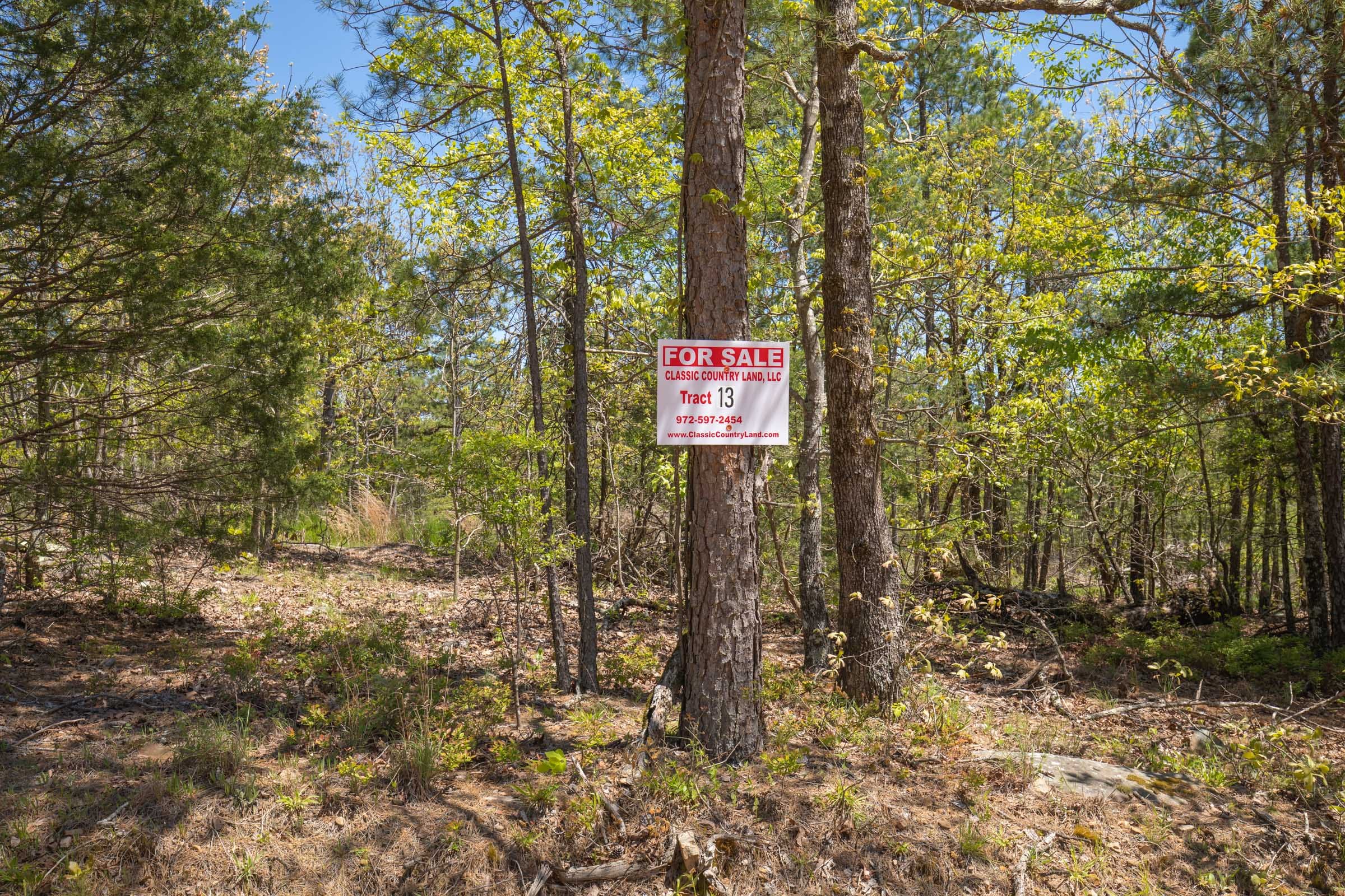 Eagle’s Nest Tract 13 photo 1