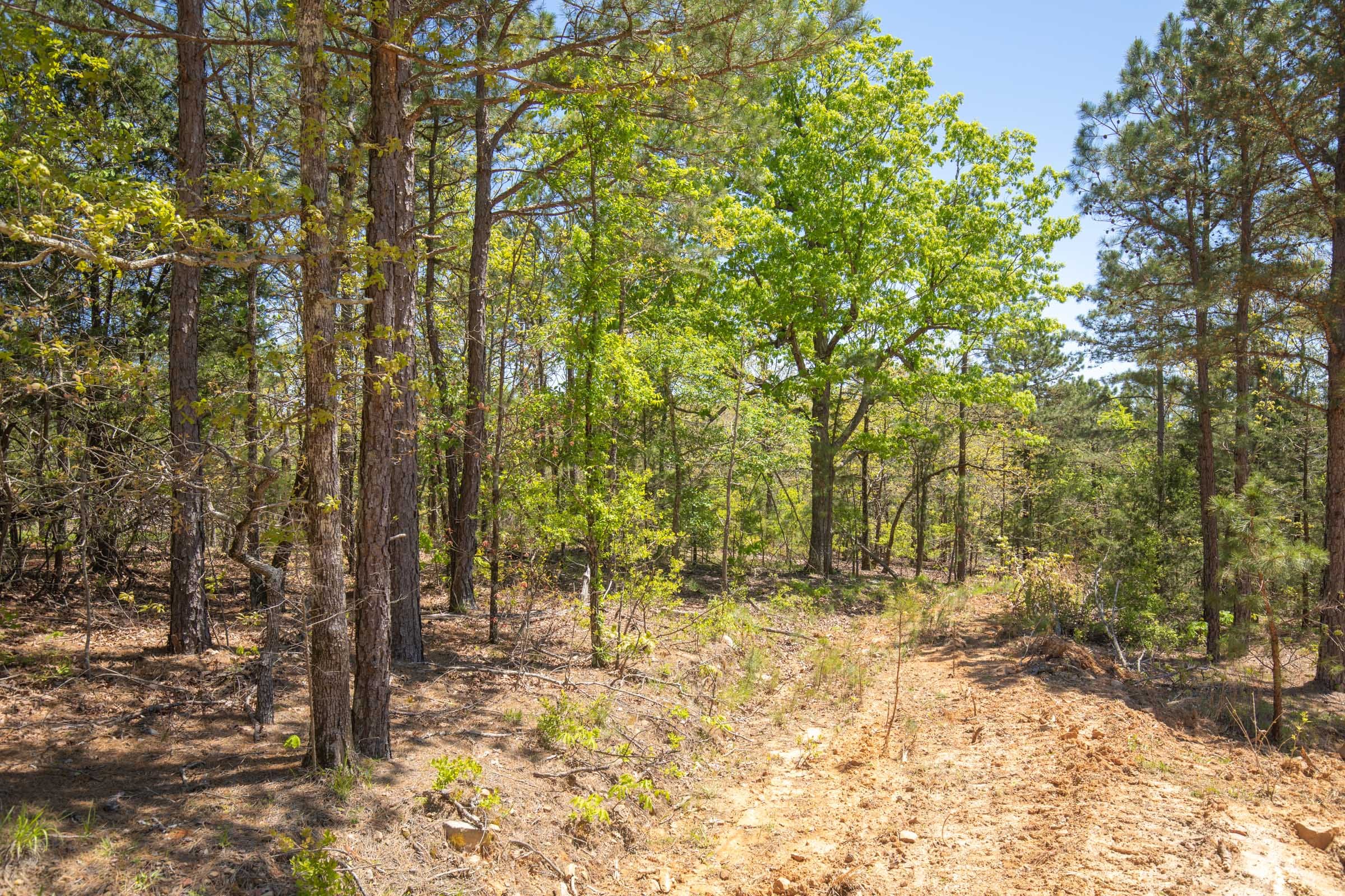 Eagle’s Nest Tract 13 photo 3